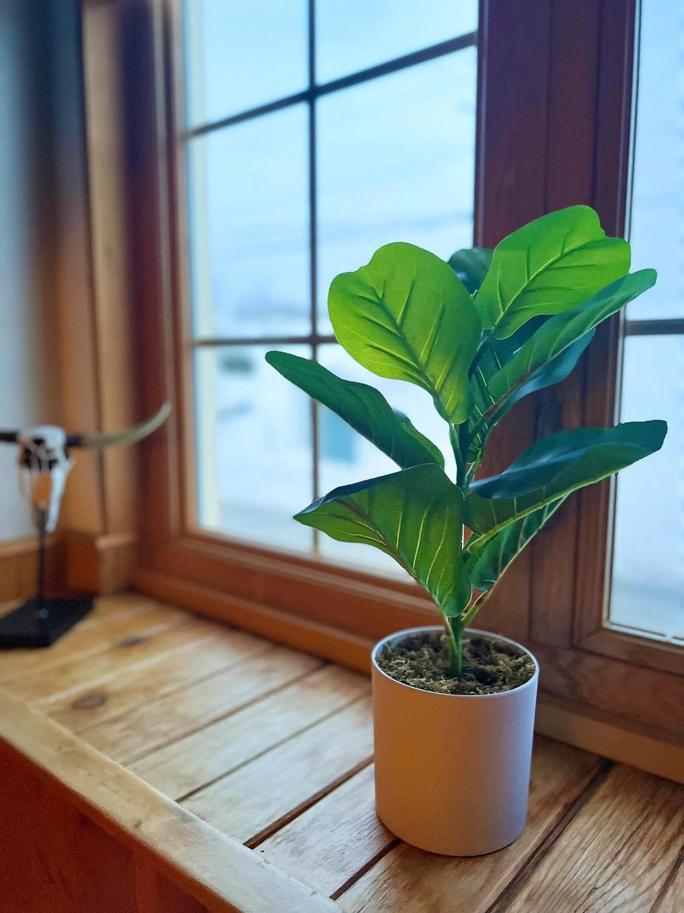 Auberge au Poste de Traite