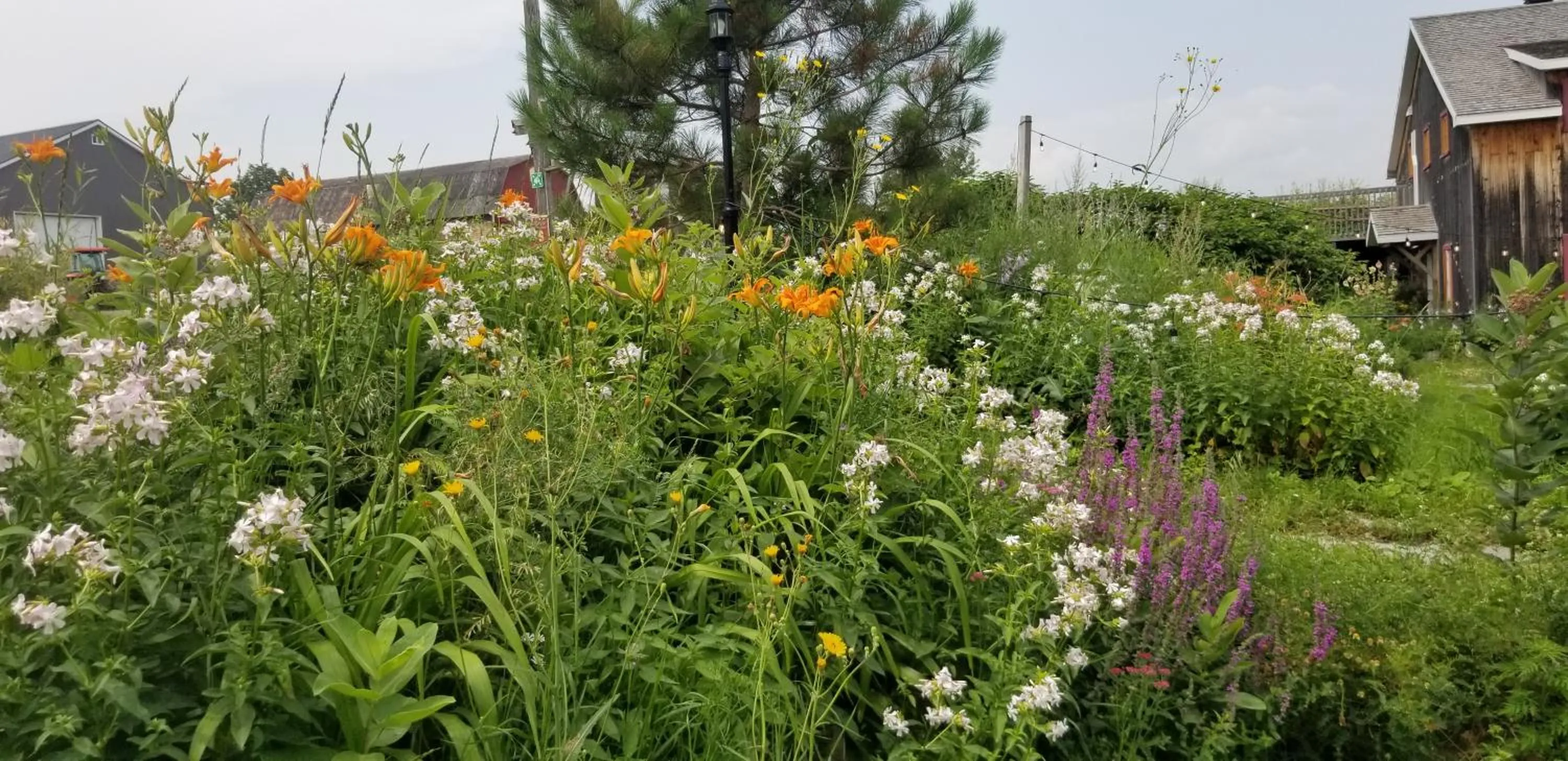 Auberge Le P'tit Bonheur