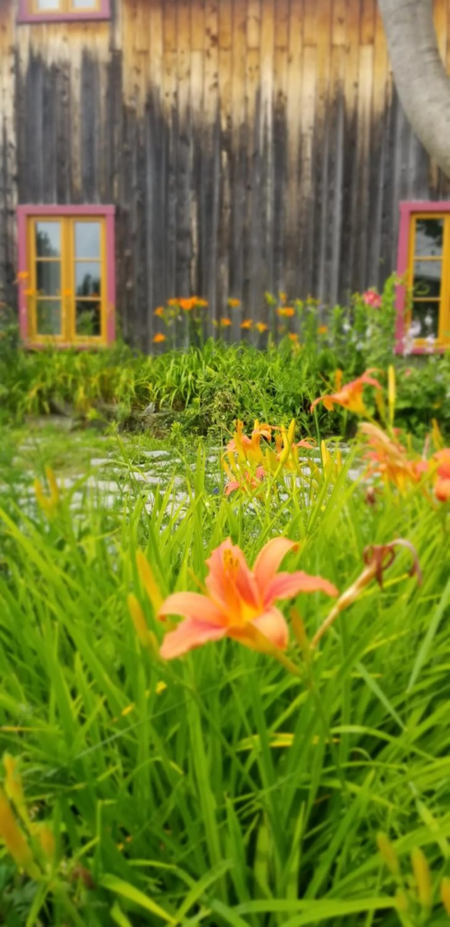 Auberge Le P'tit Bonheur