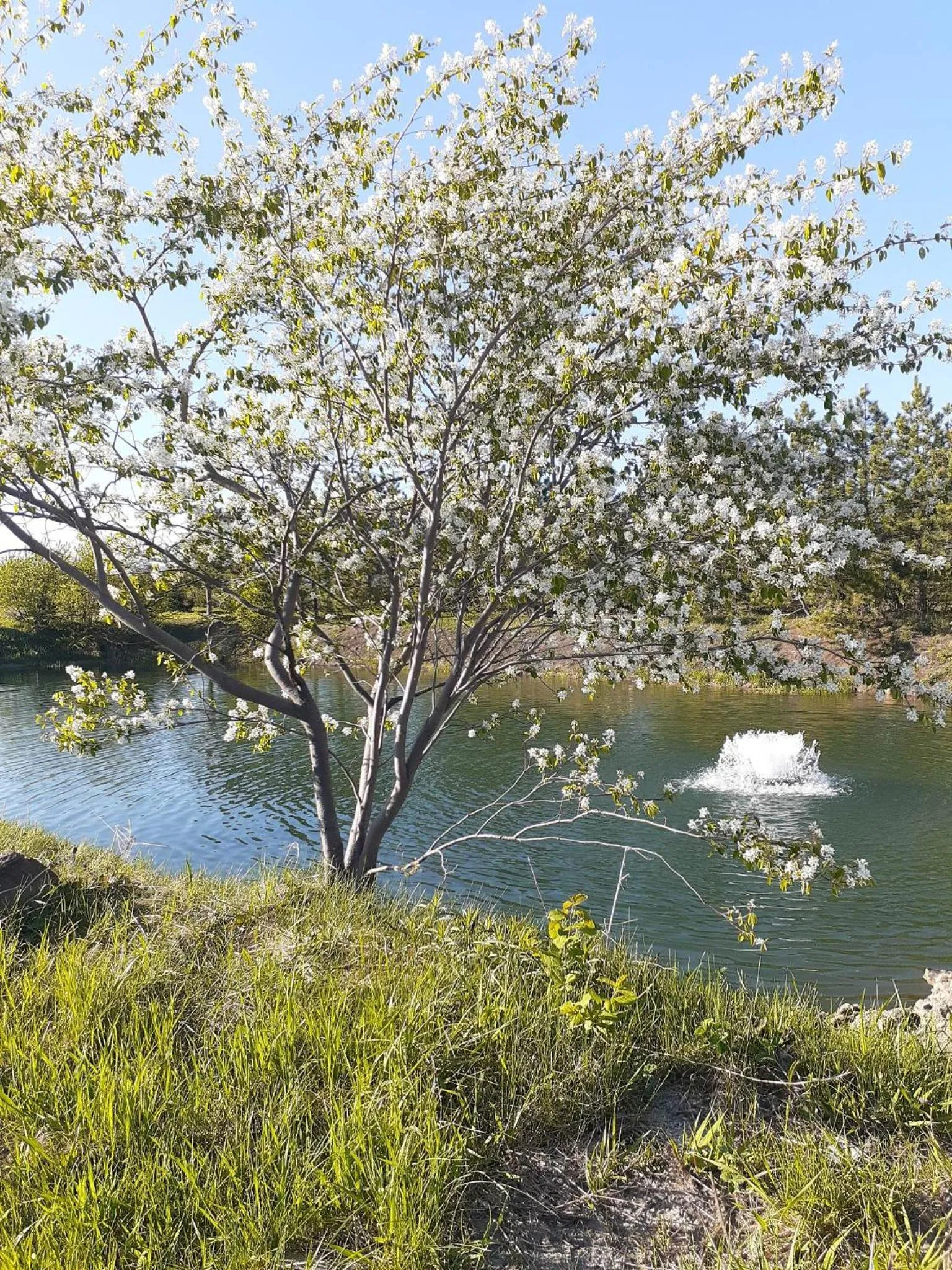 Auberge Le P'tit Bonheur