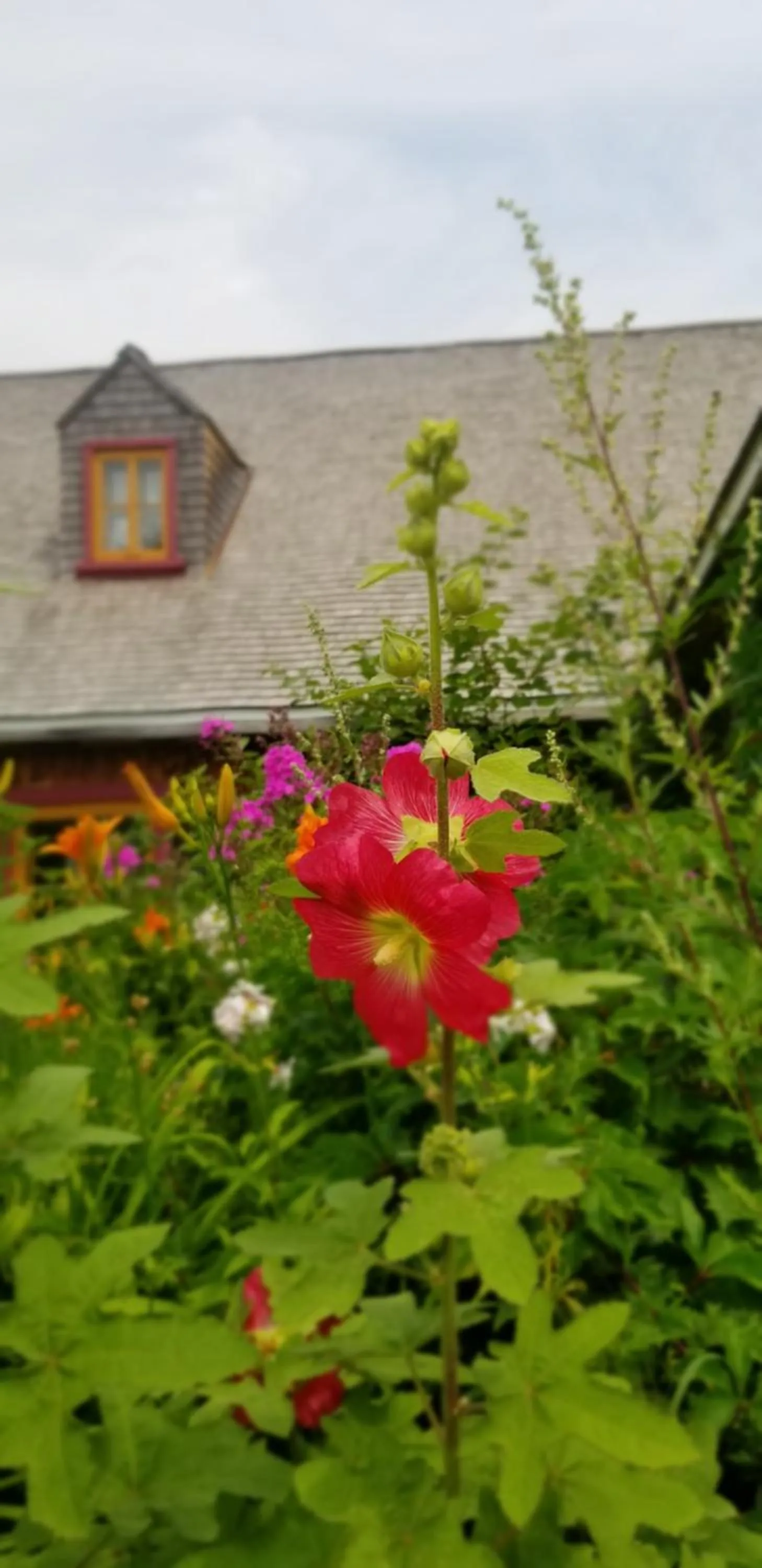 Auberge Le P'tit Bonheur