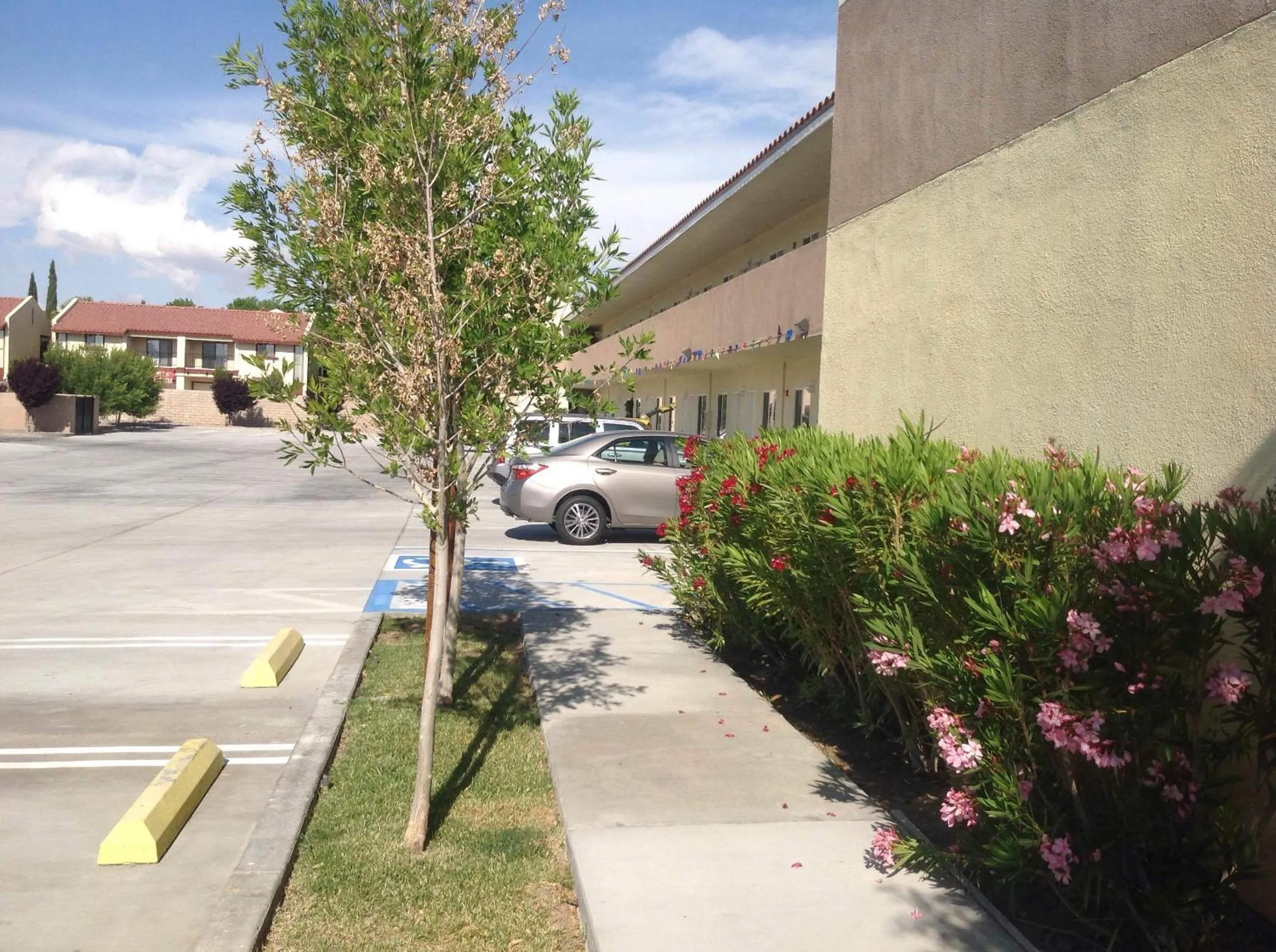 Activities in America Inn & Suites