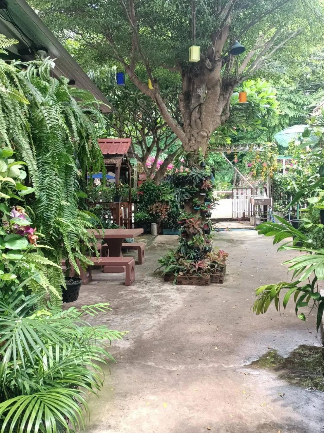 Garden in Adrian View resort
