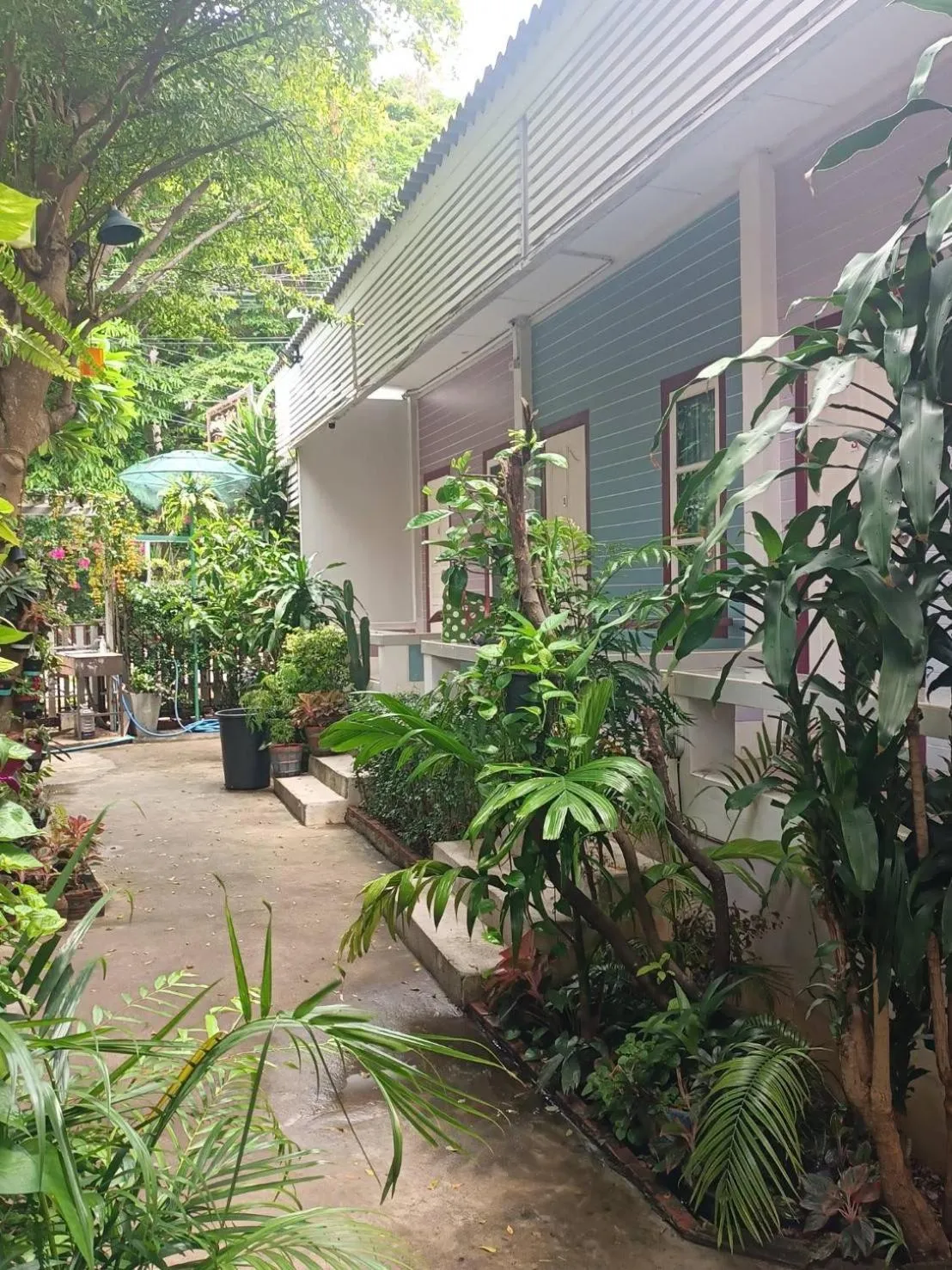 Garden in Adrian View resort