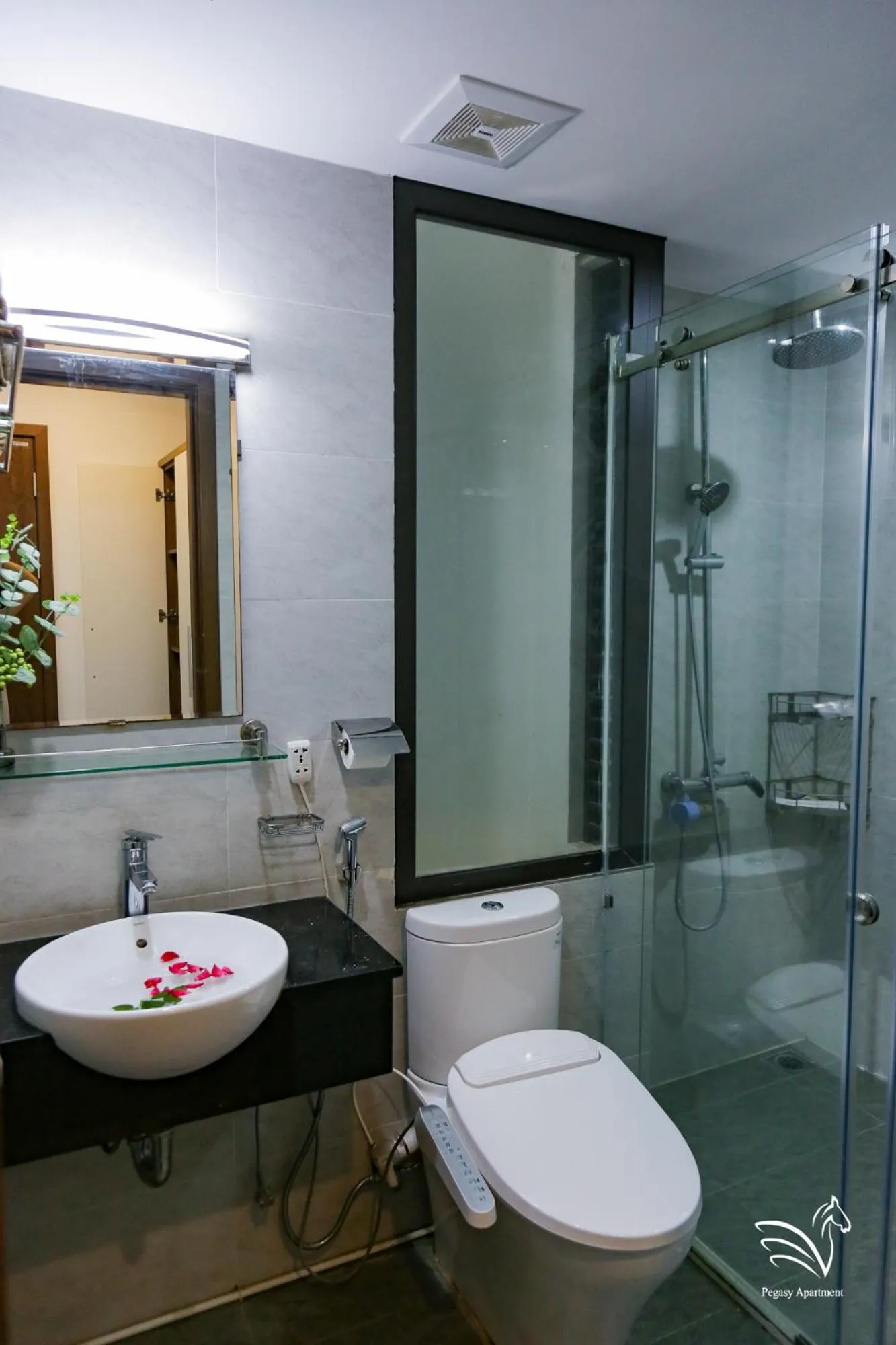 Toilet in Pegasy Apartments & Travel