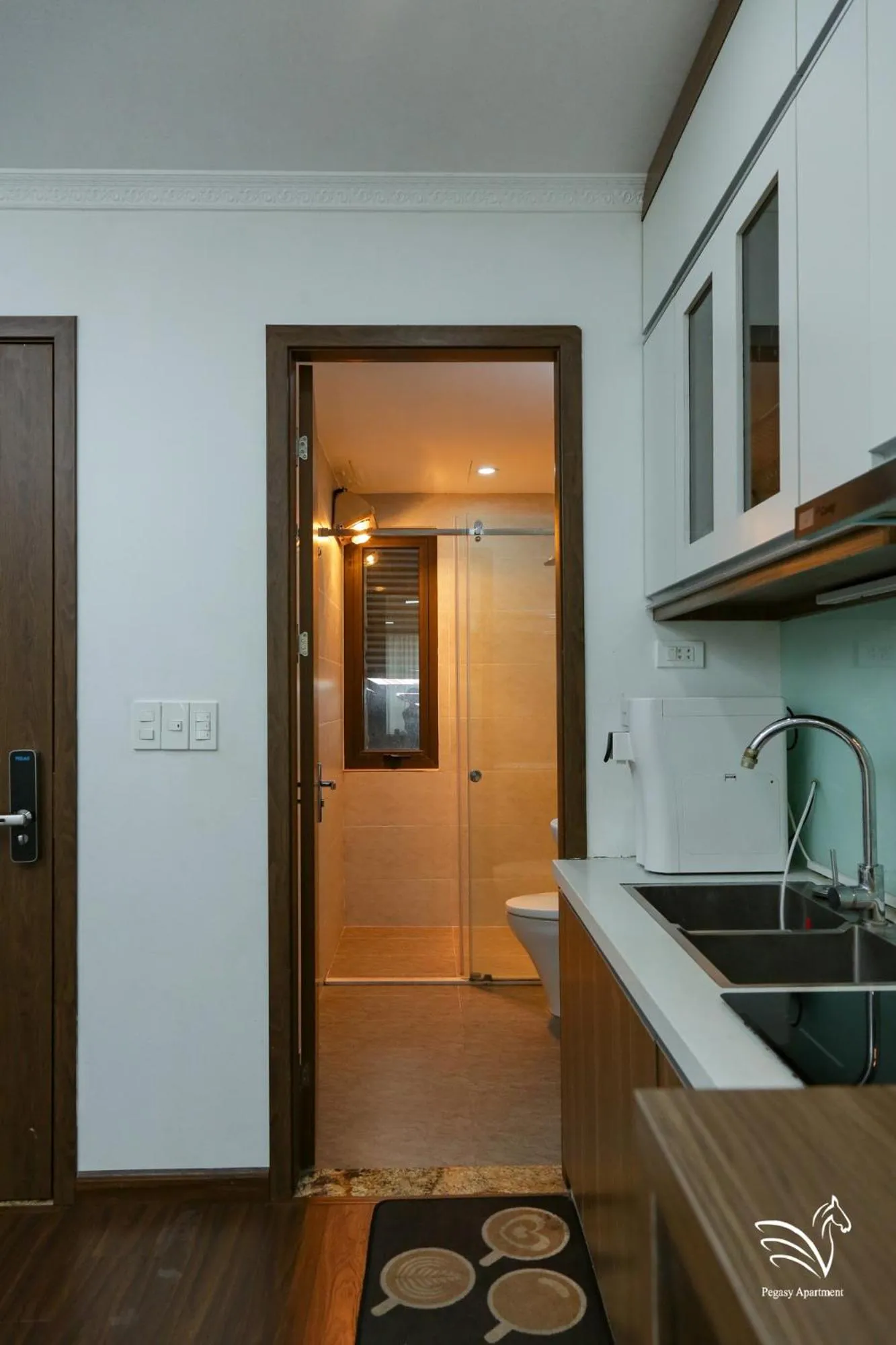 Kitchen or kitchenette in Pegasy Apartments & Travel