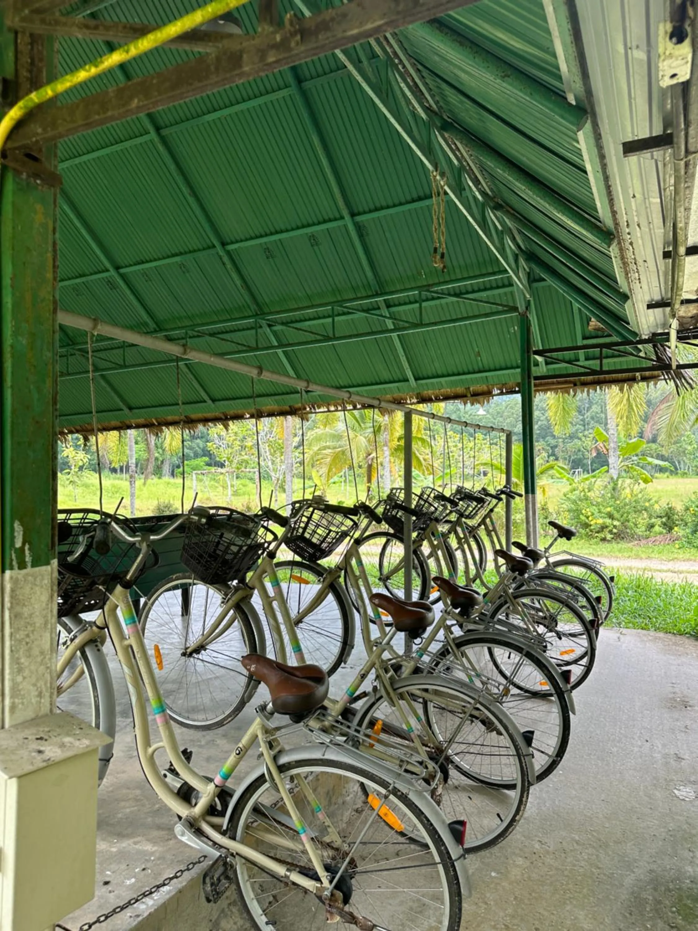 Day in Sawasdee Lagoon Camping & Restaurant