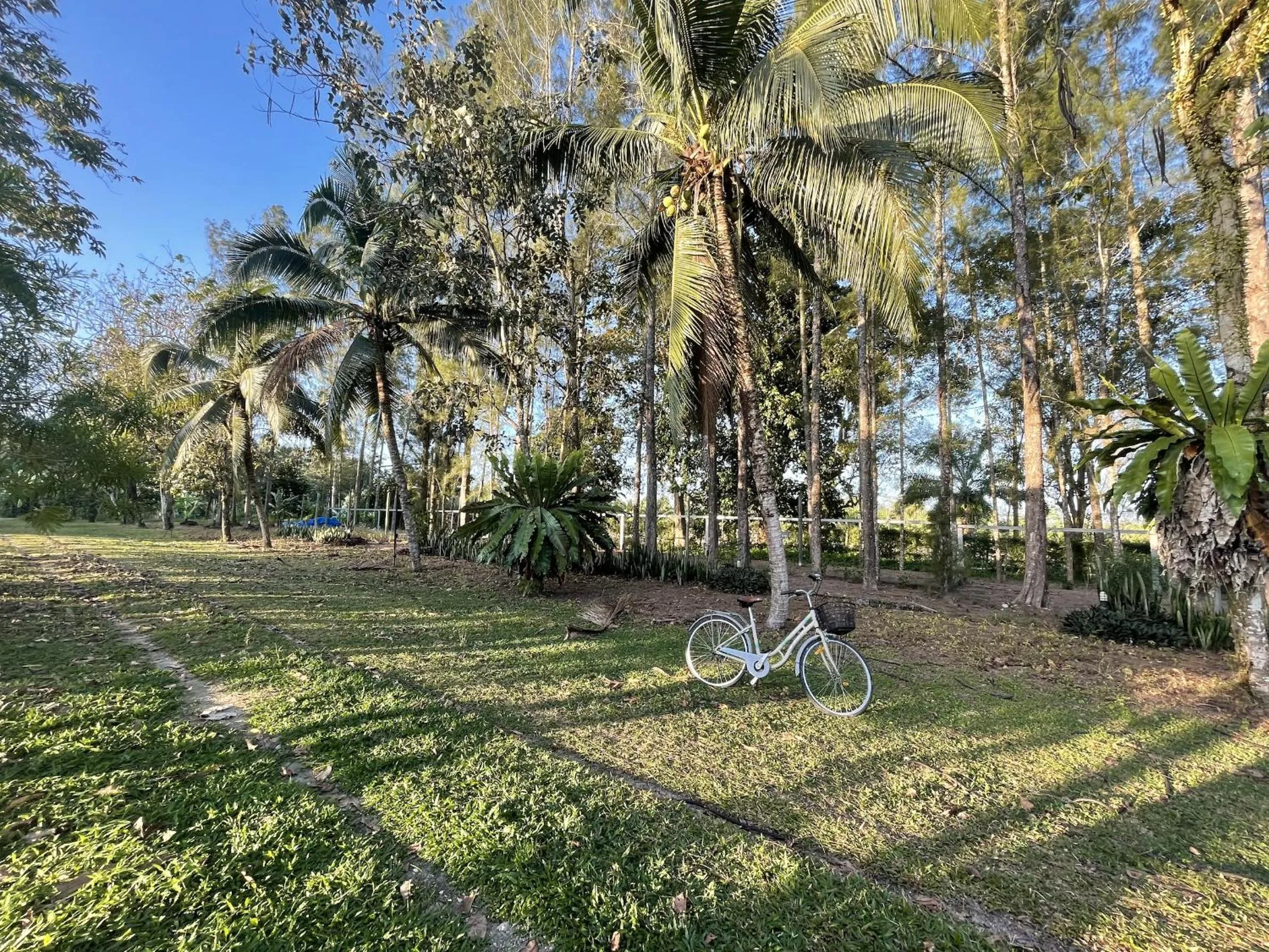 Natural landscape in Sawasdee Lagoon Camping & Restaurant