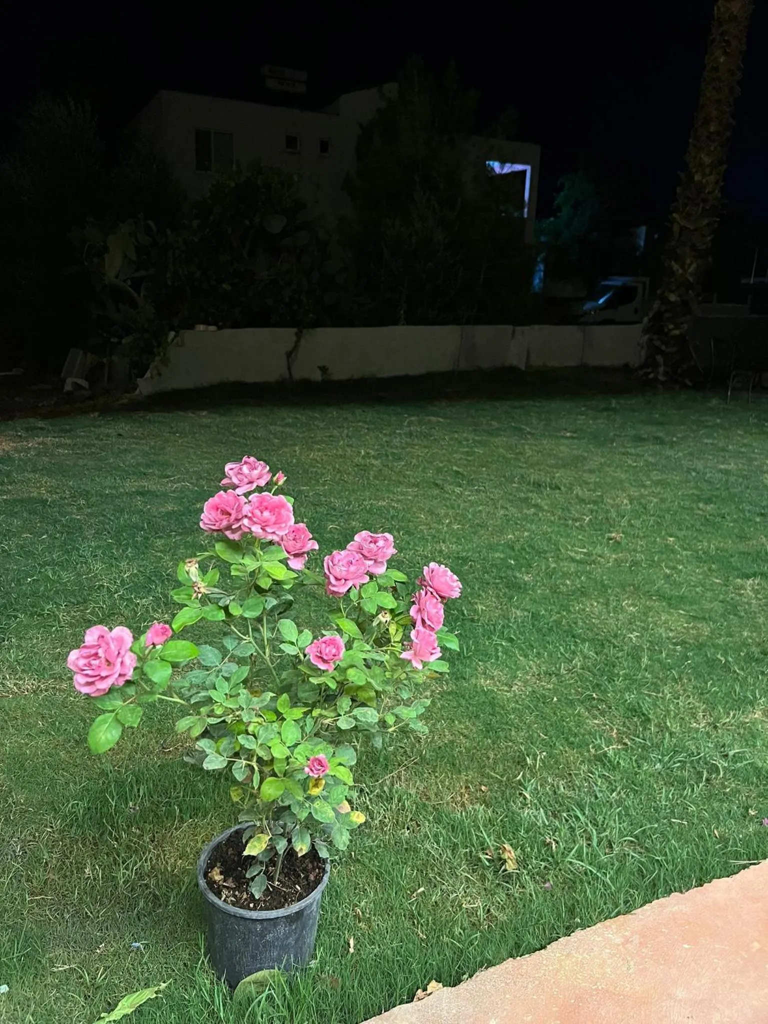 Spring in Asimado Hotel