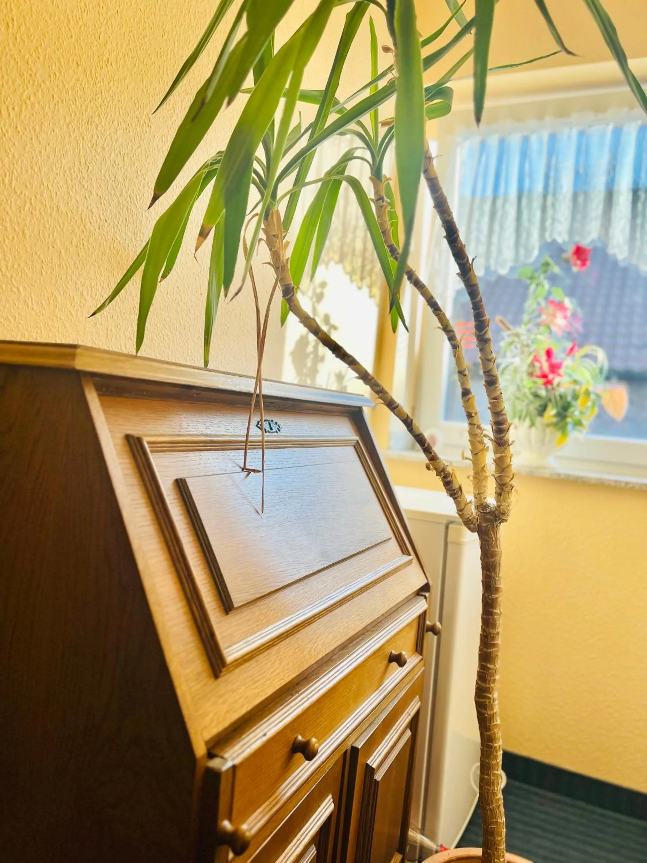 TM Hotel Westfalen
