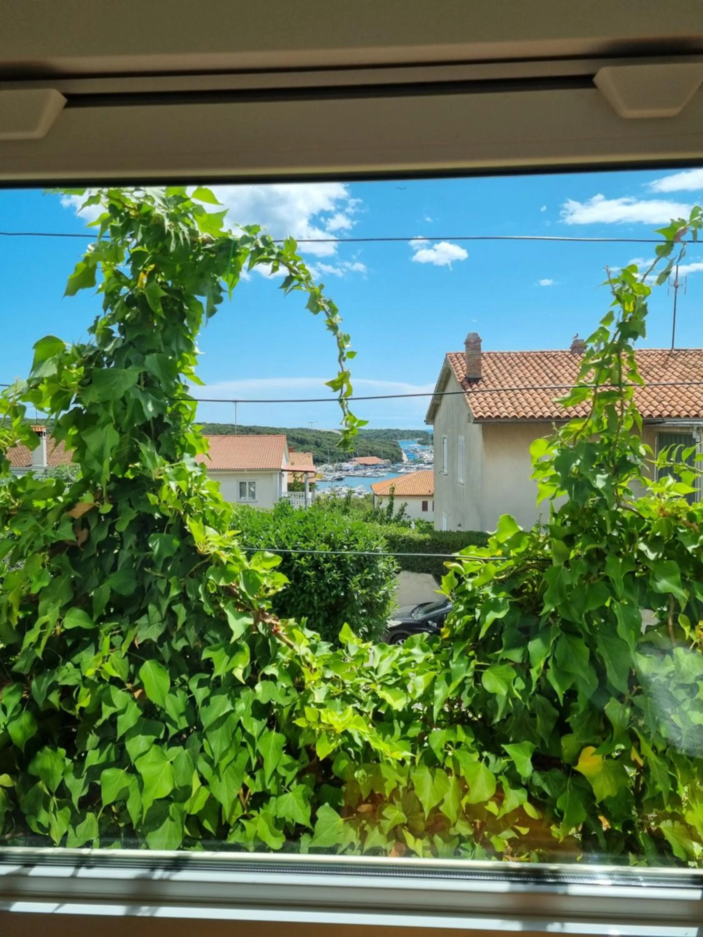Garden view in F13 Apartment
