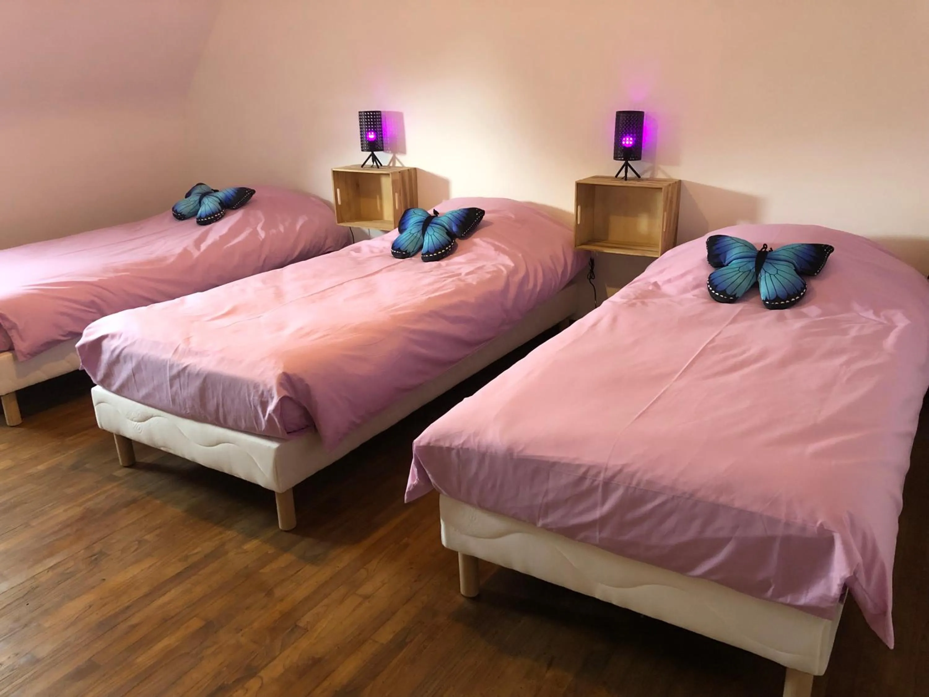 Photo of the whole room, Bed in Gites le Rucher de Kerillis