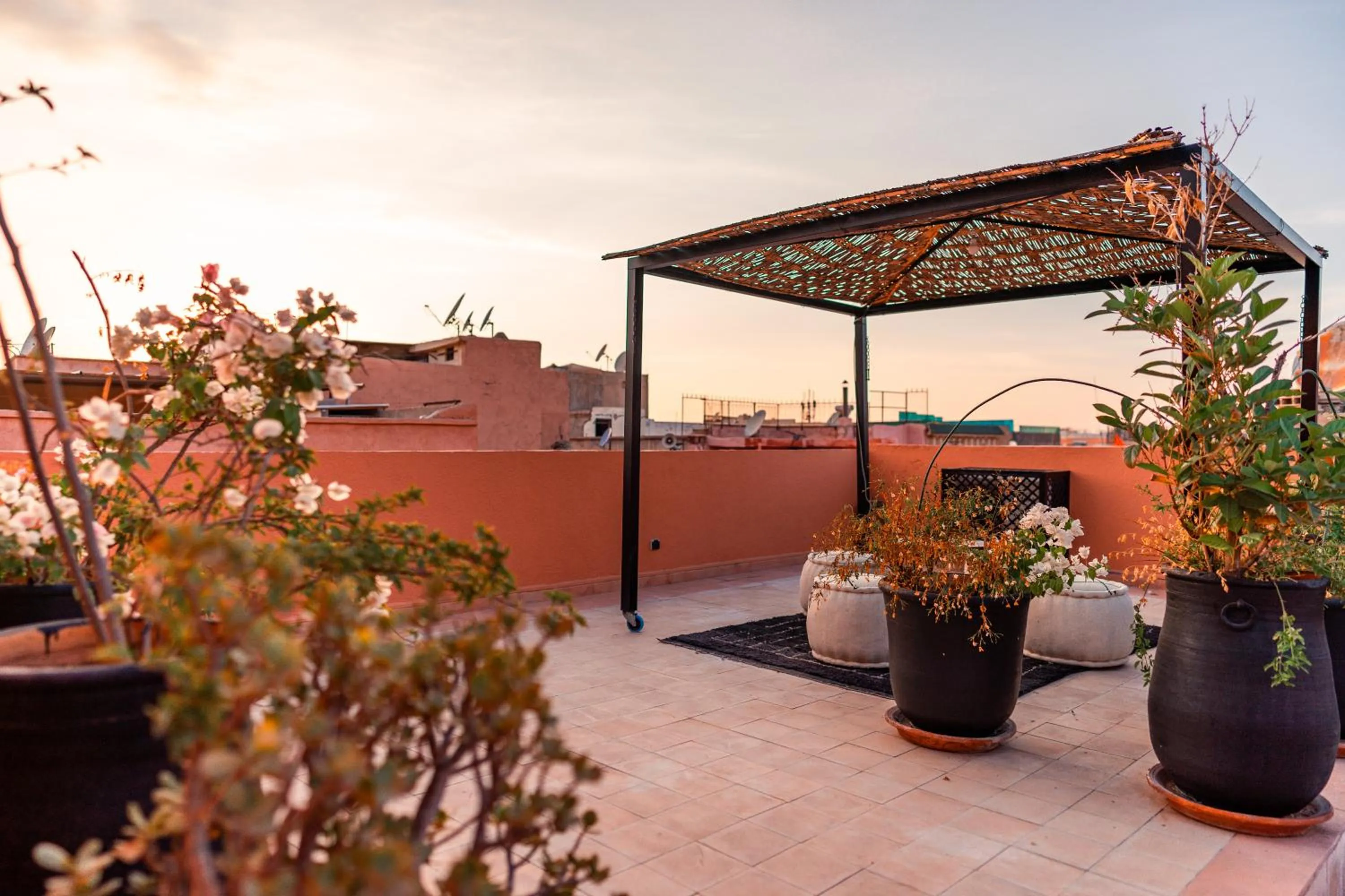 Balcony/Terrace in Riad L'ECOLE