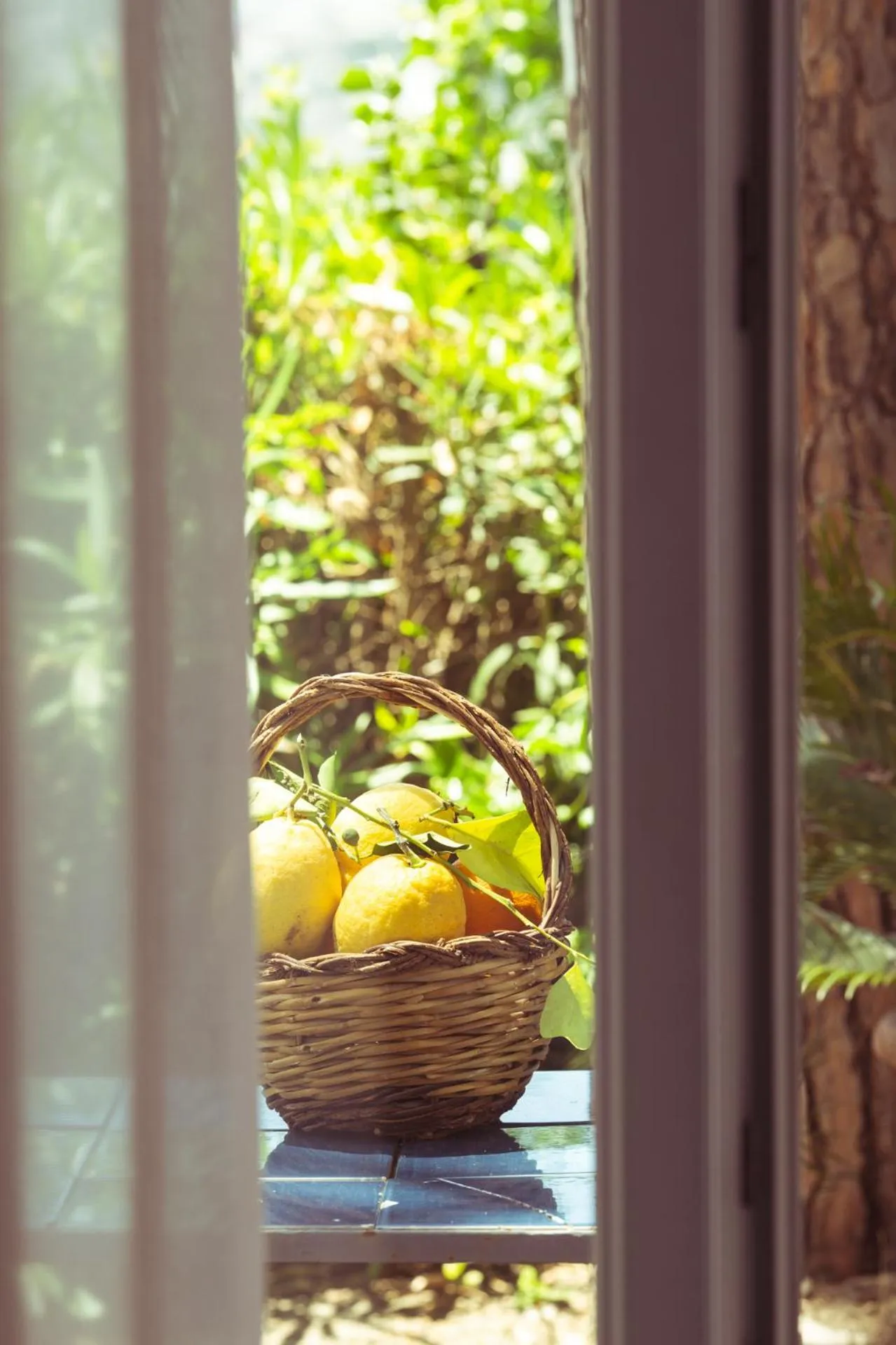 Garden in Hotel Sunset Green