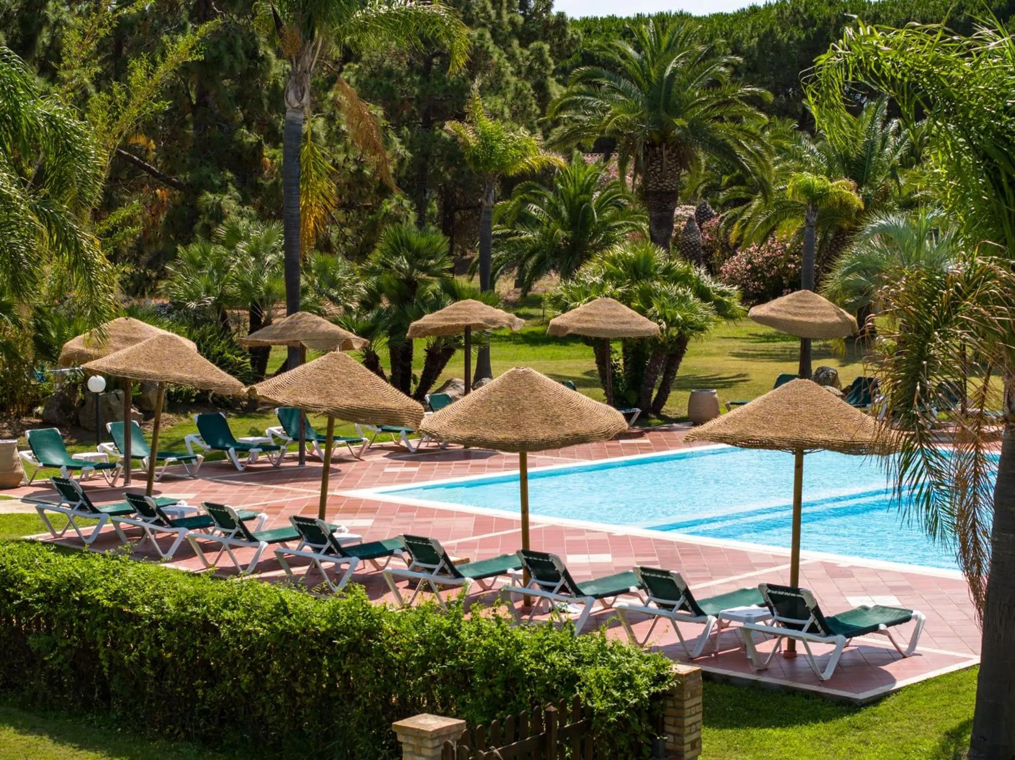 Summer in Residence Baia delle Palme