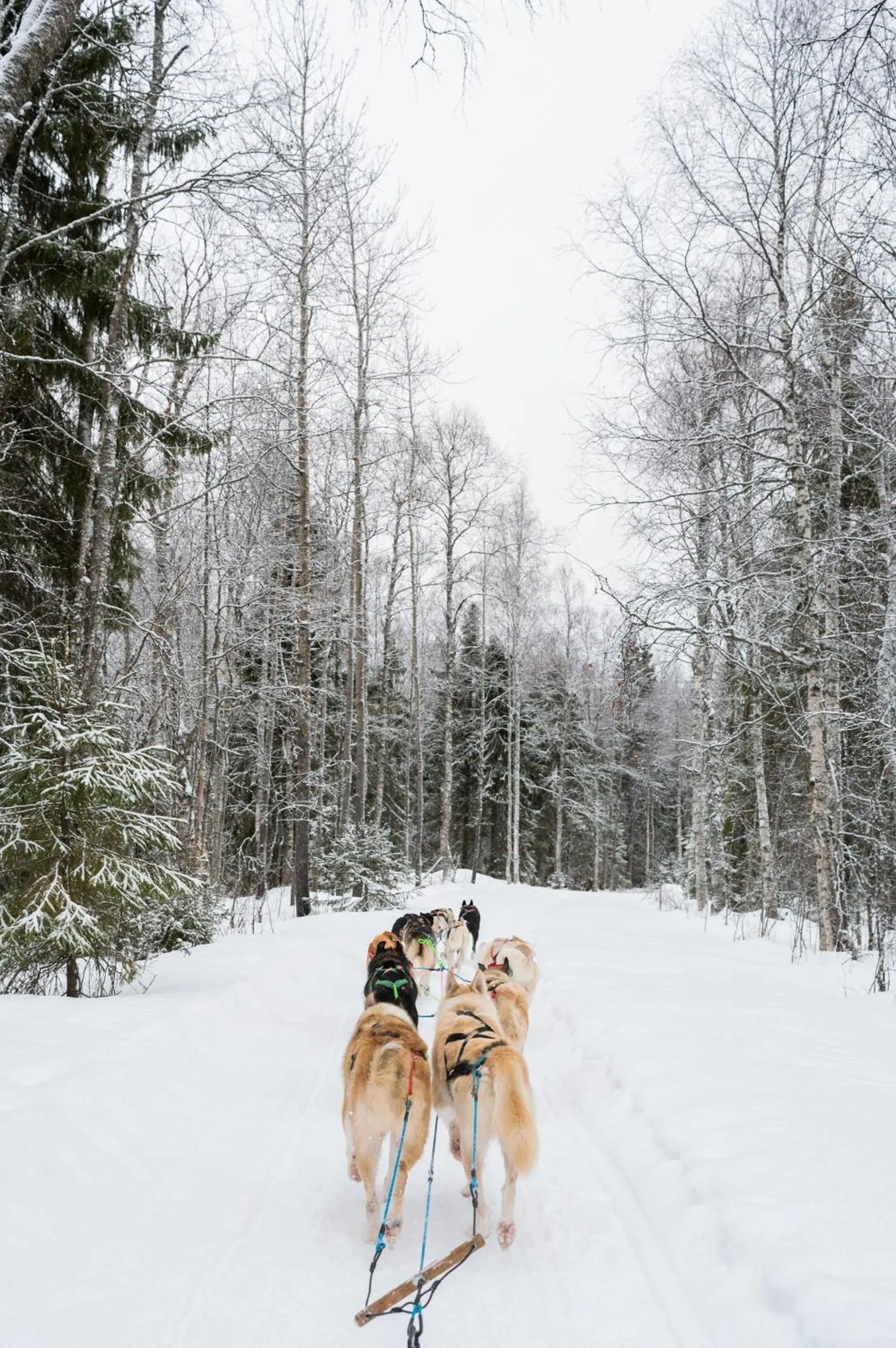 Natural landscape in Nova Galaxy Village