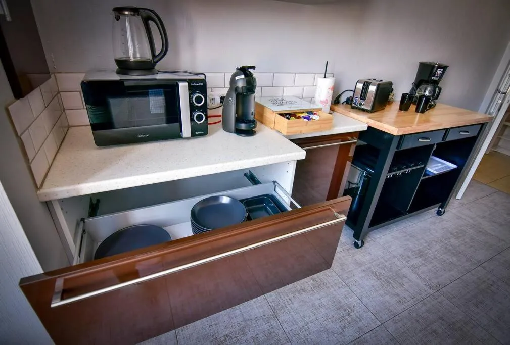 Grand appartement de haut standing en centre-ville