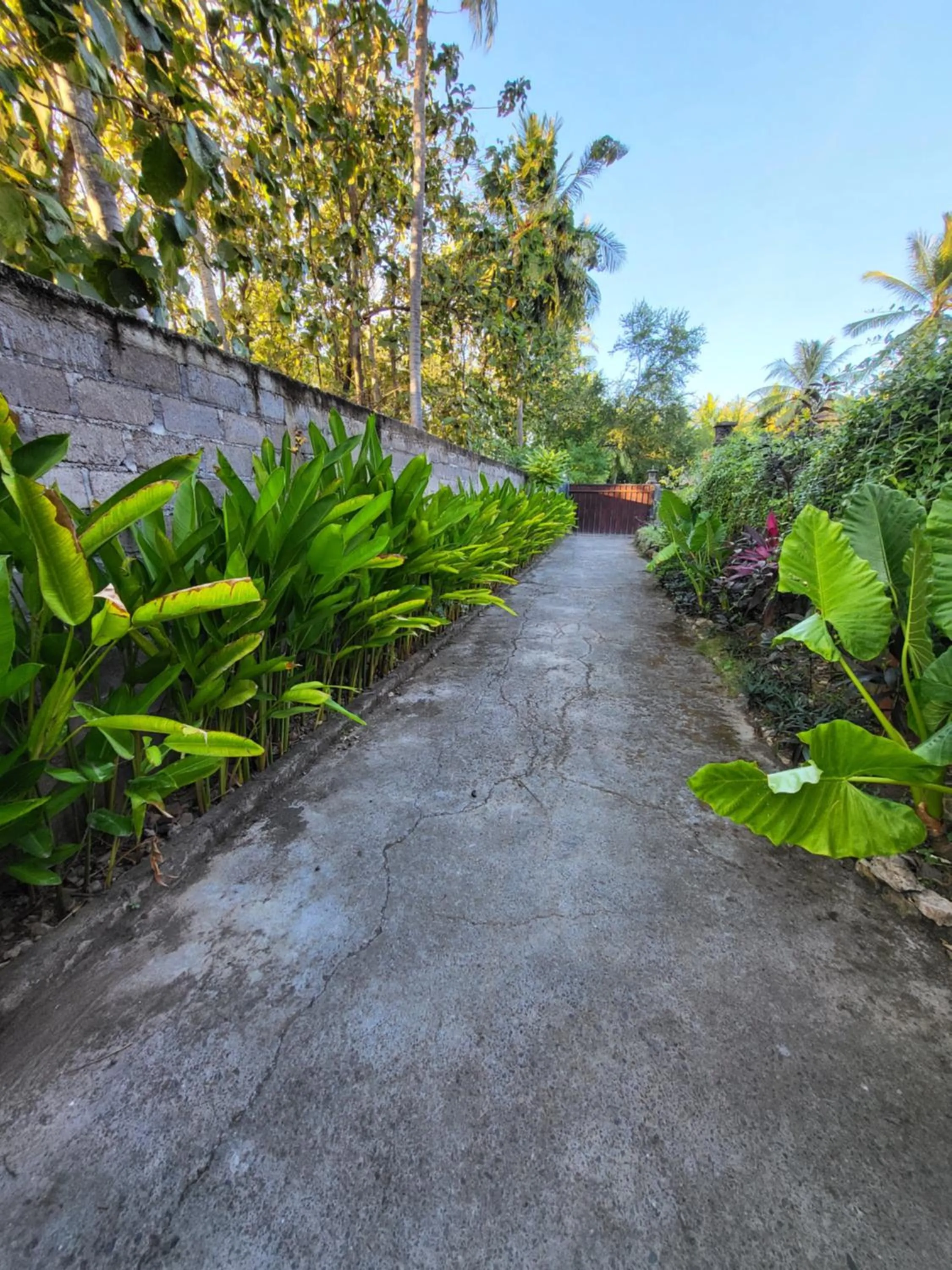 Spring in Exotic Backpackers