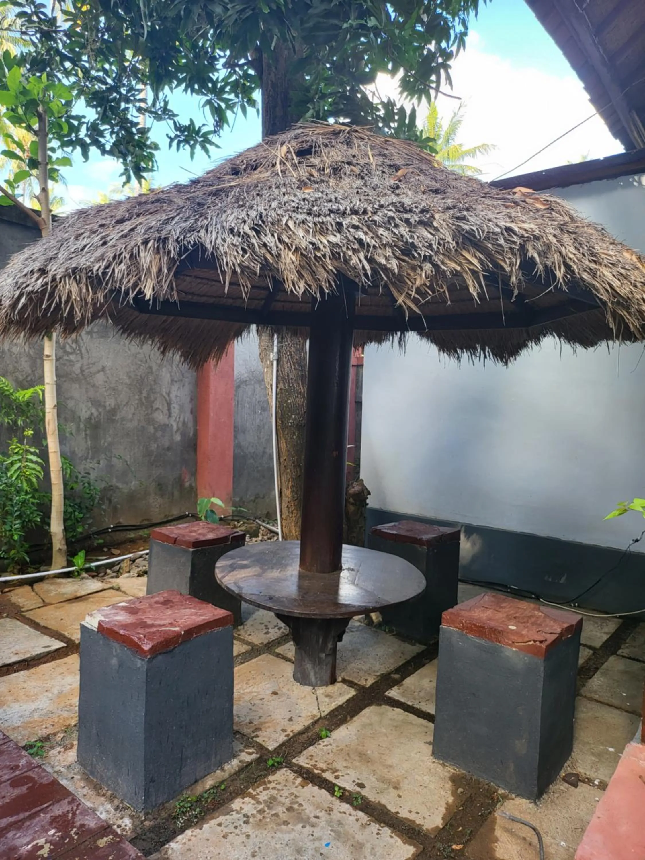 Day in Exotic Backpackers