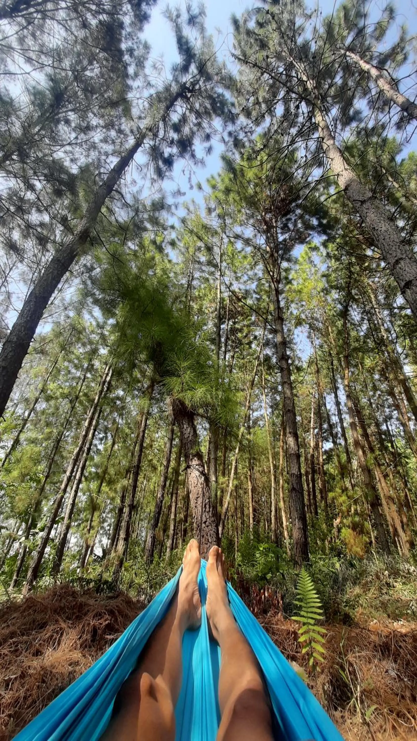Natural landscape in Bromo Dormitory