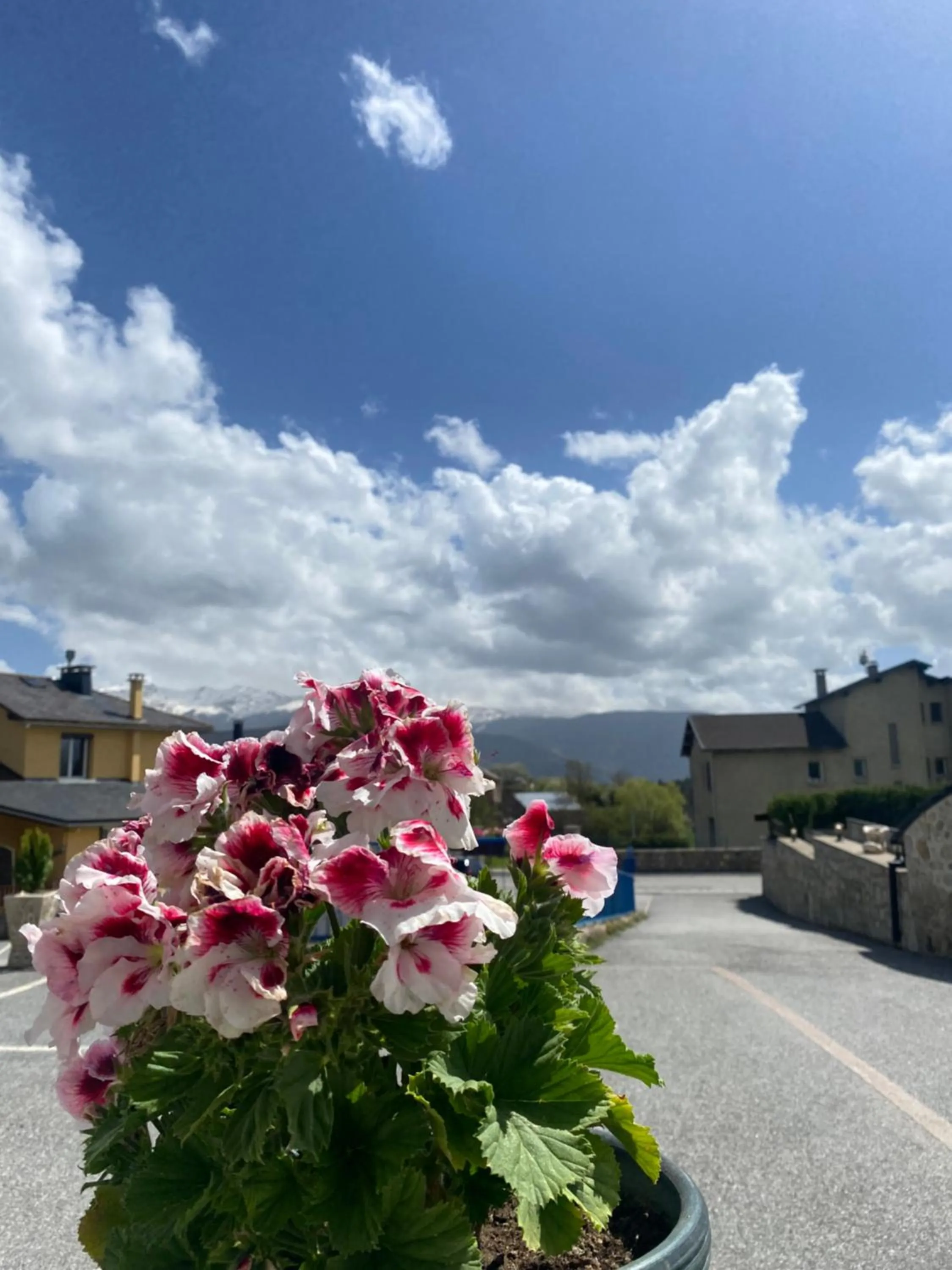 Patio in Hôtel L'Oustalet