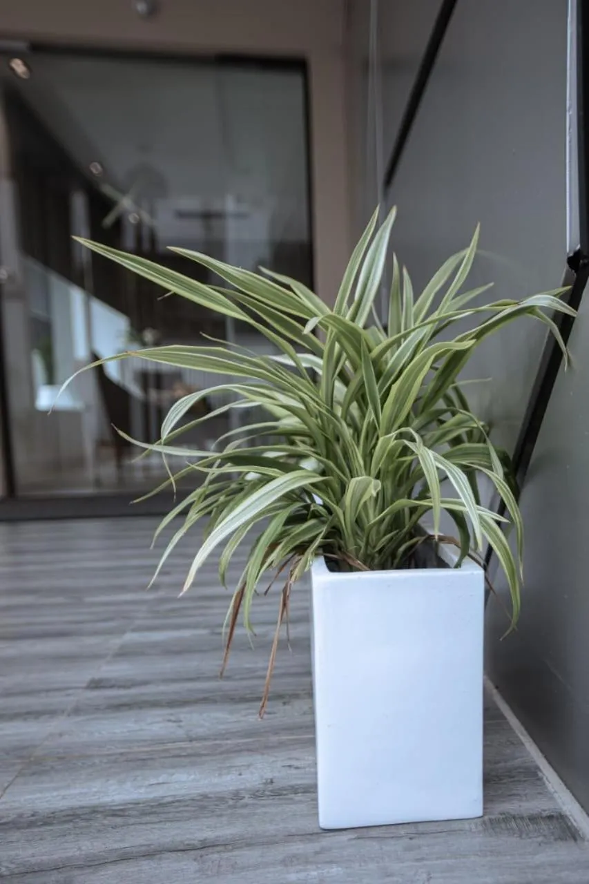 Knightsbridge Hotel & Suites