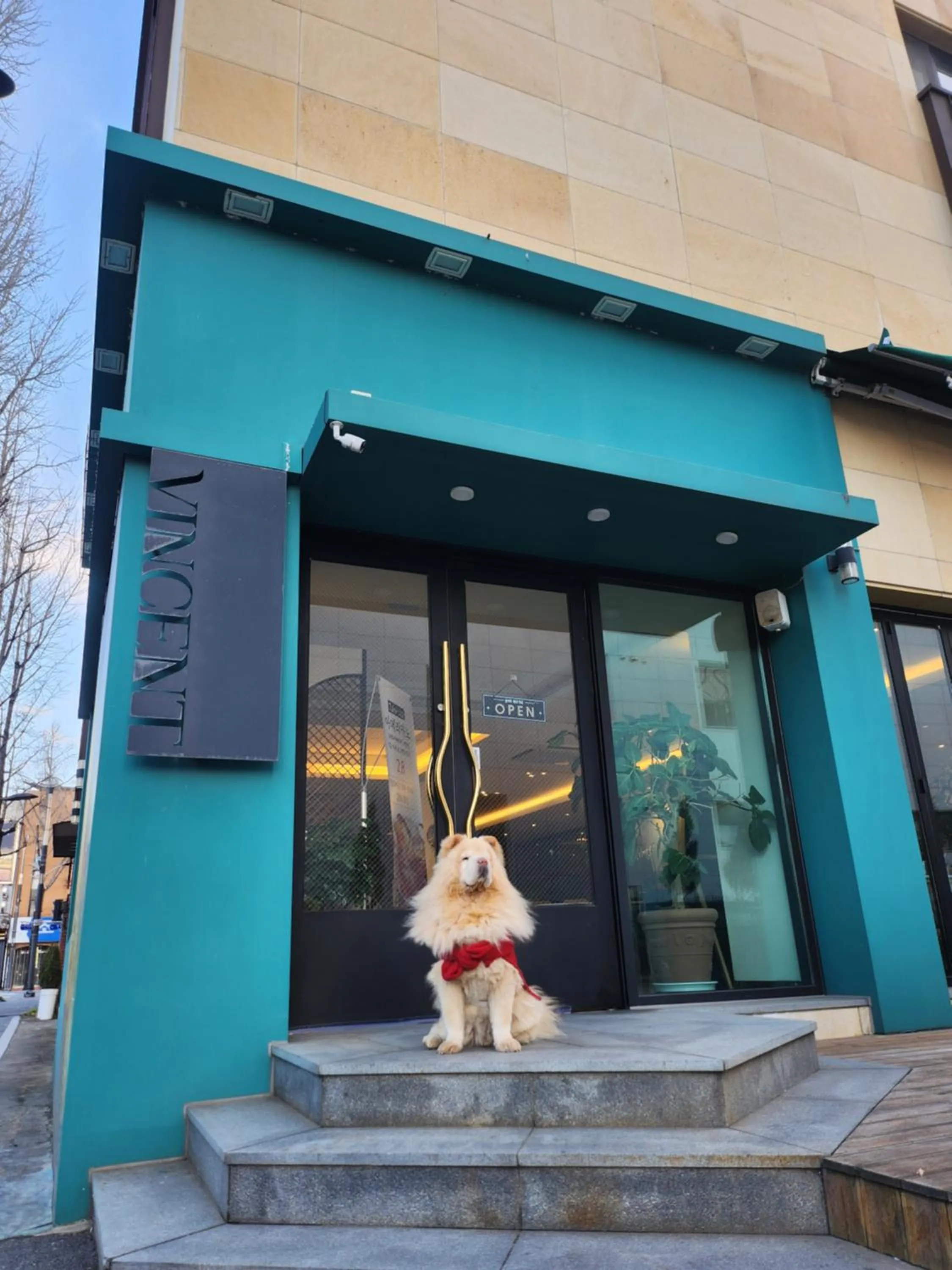 Property building in Jeonju Hotel The Vincent