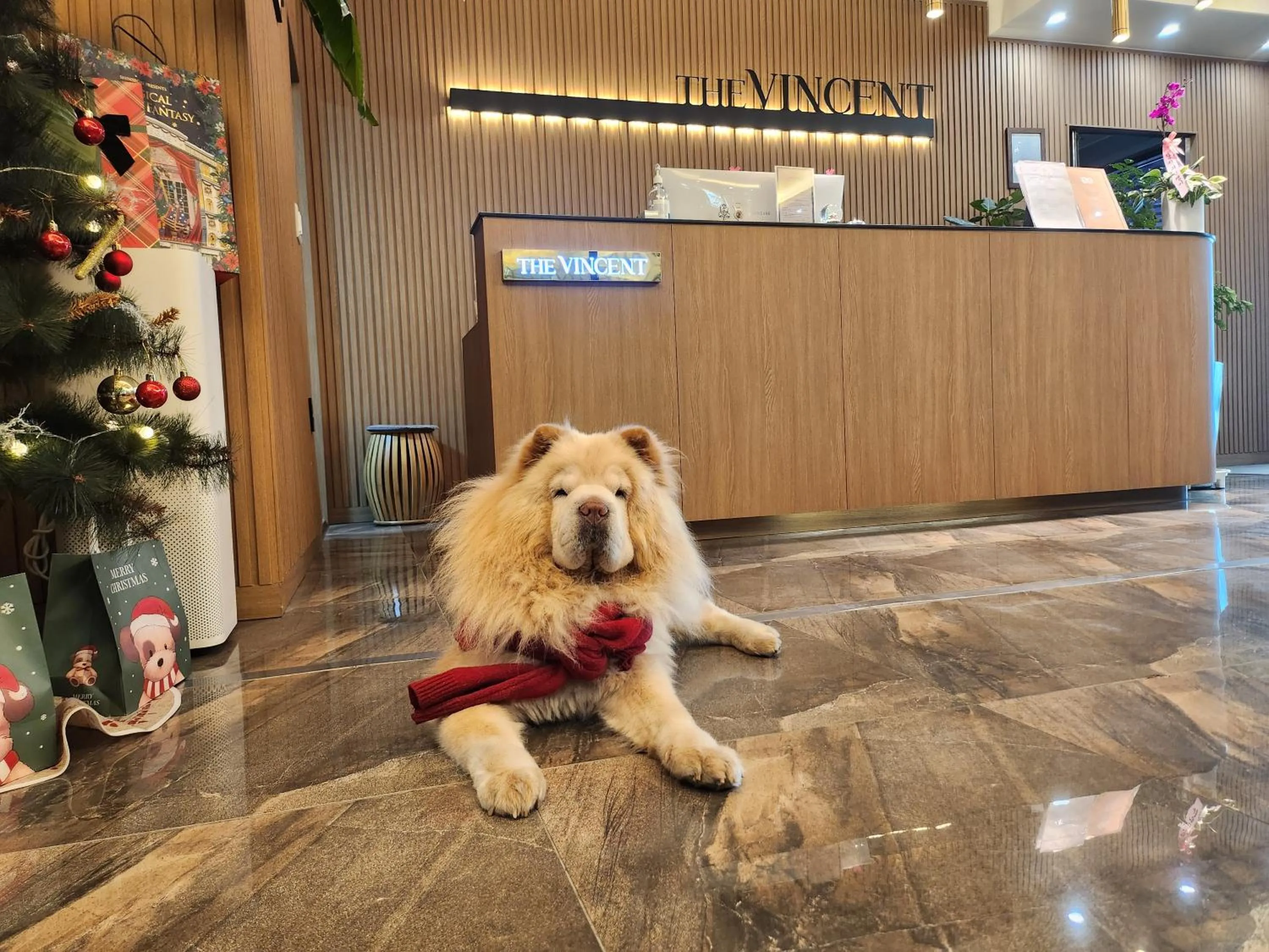 Lobby or reception in Jeonju Hotel The Vincent