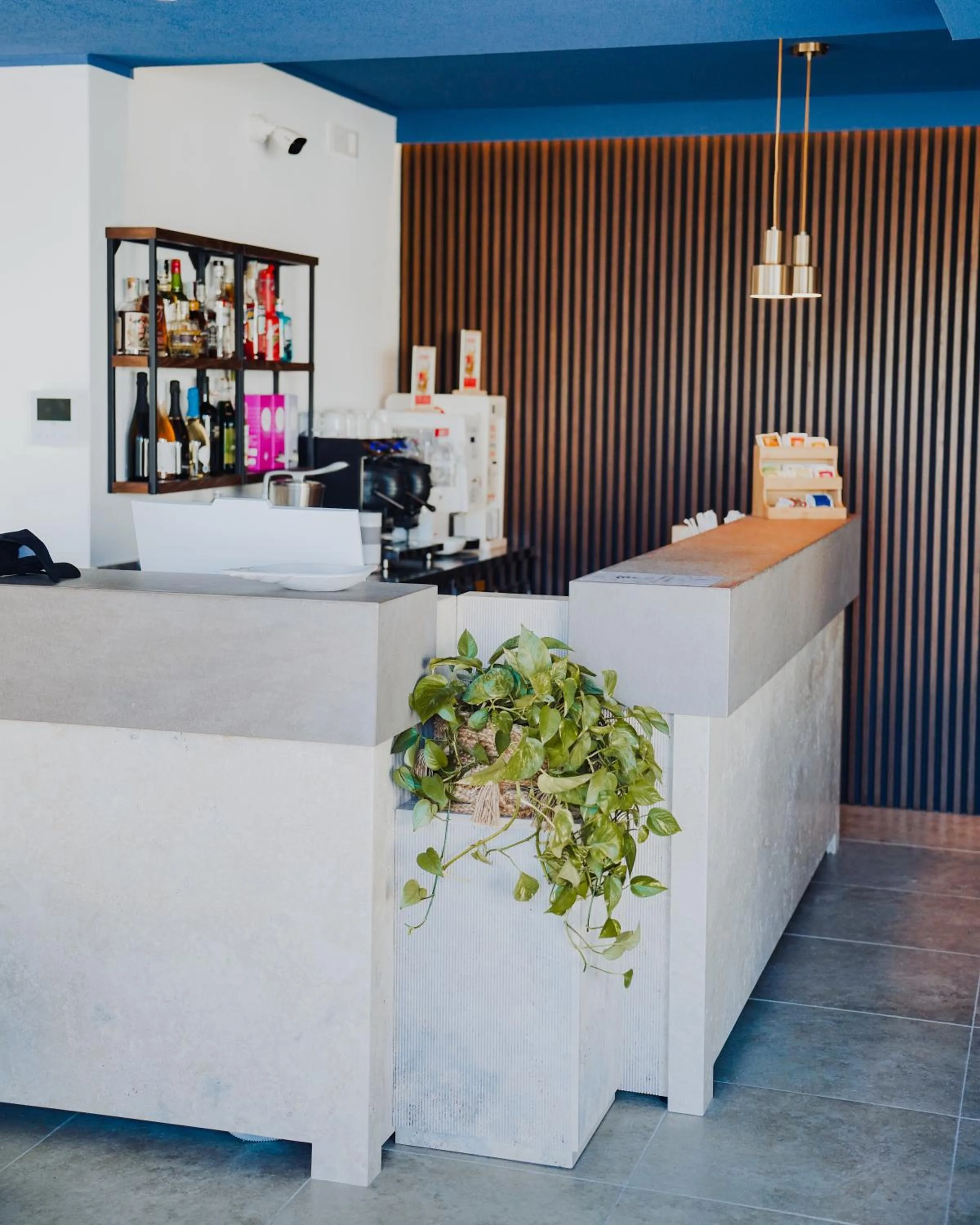 Lobby or reception in Hotel Mhami