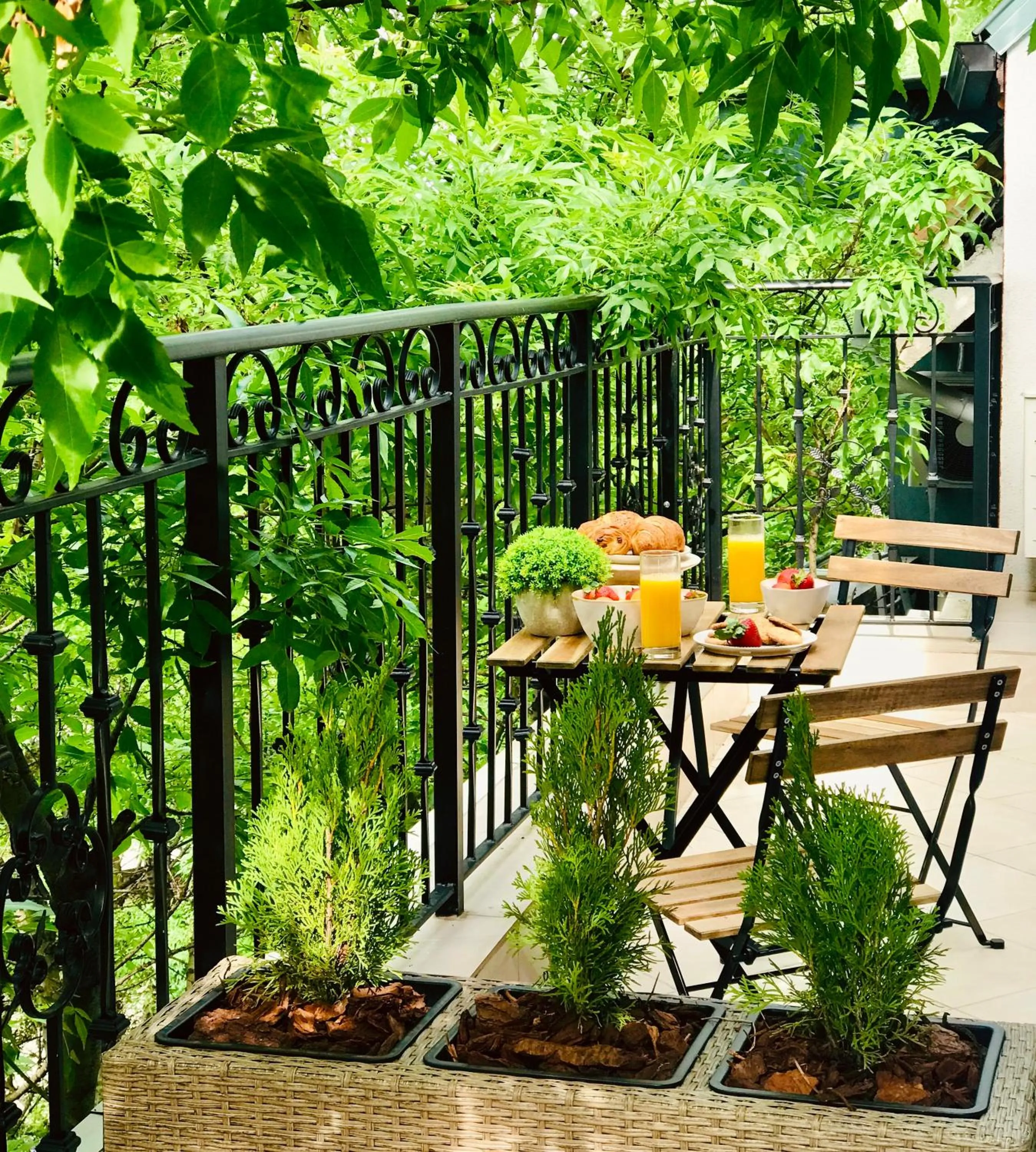 Day in Apart-Hotels-Sofia, AHS