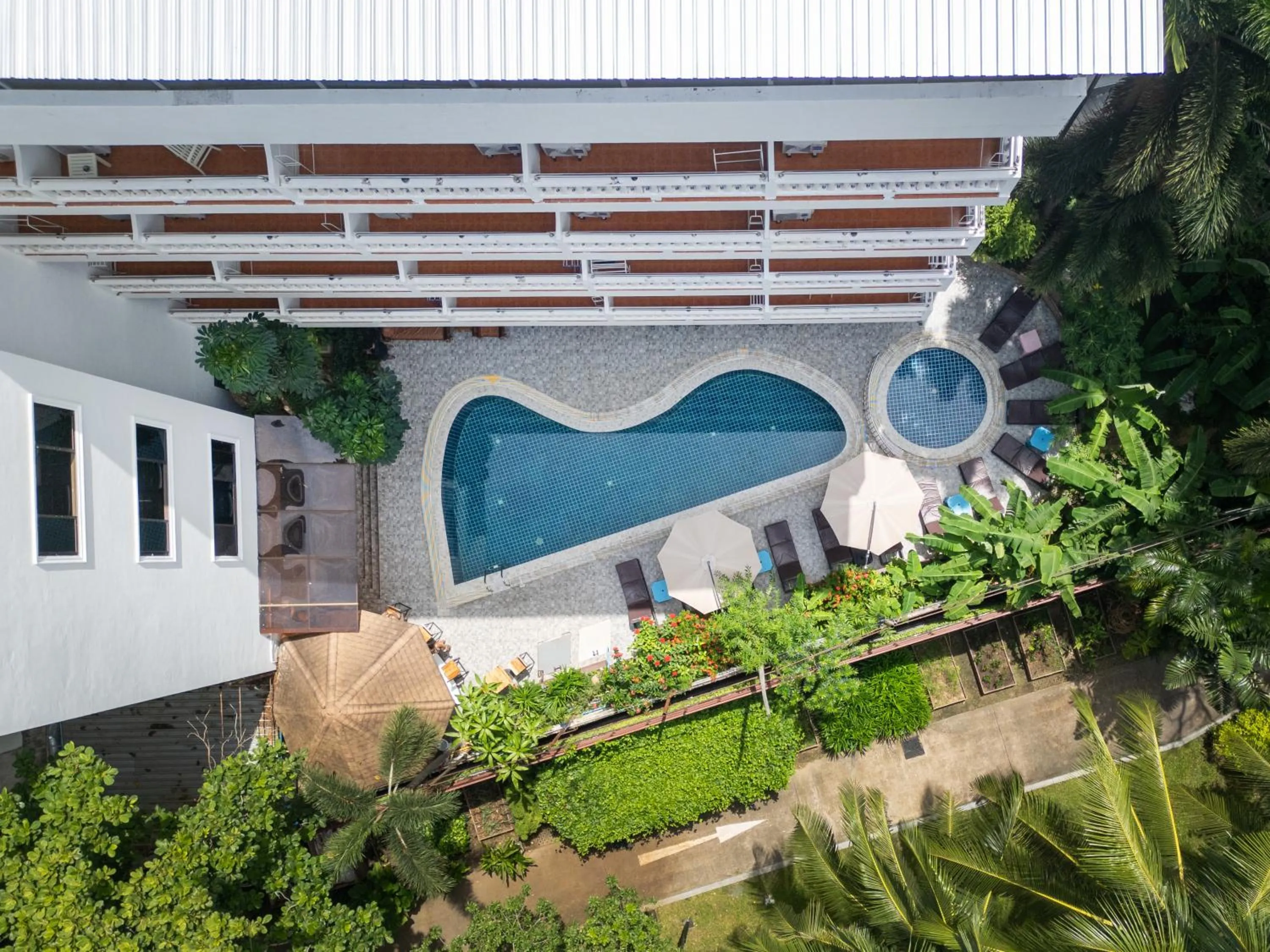 Garden in Patong Central Residence & Apartment
