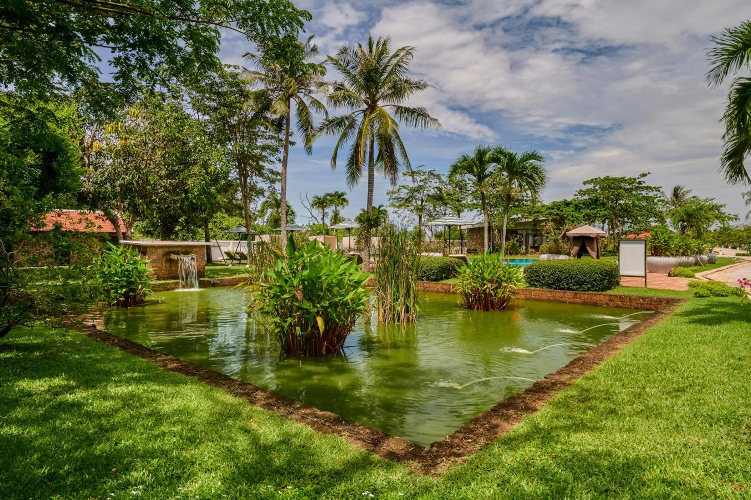 Garden in Samanea Beach Resort & Spa