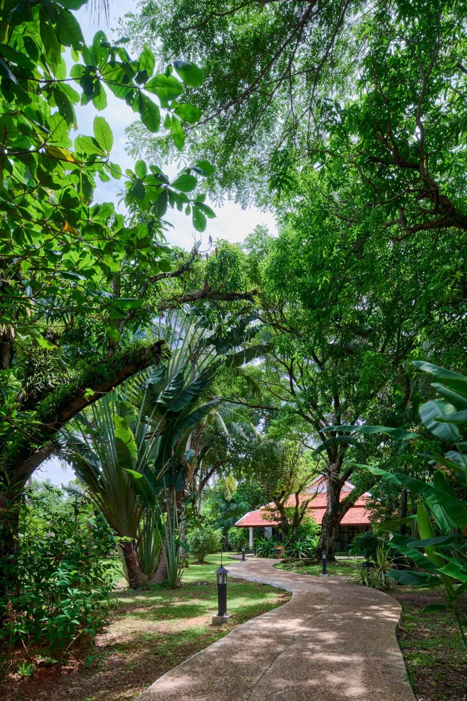 Garden in Samanea Beach Resort & Spa