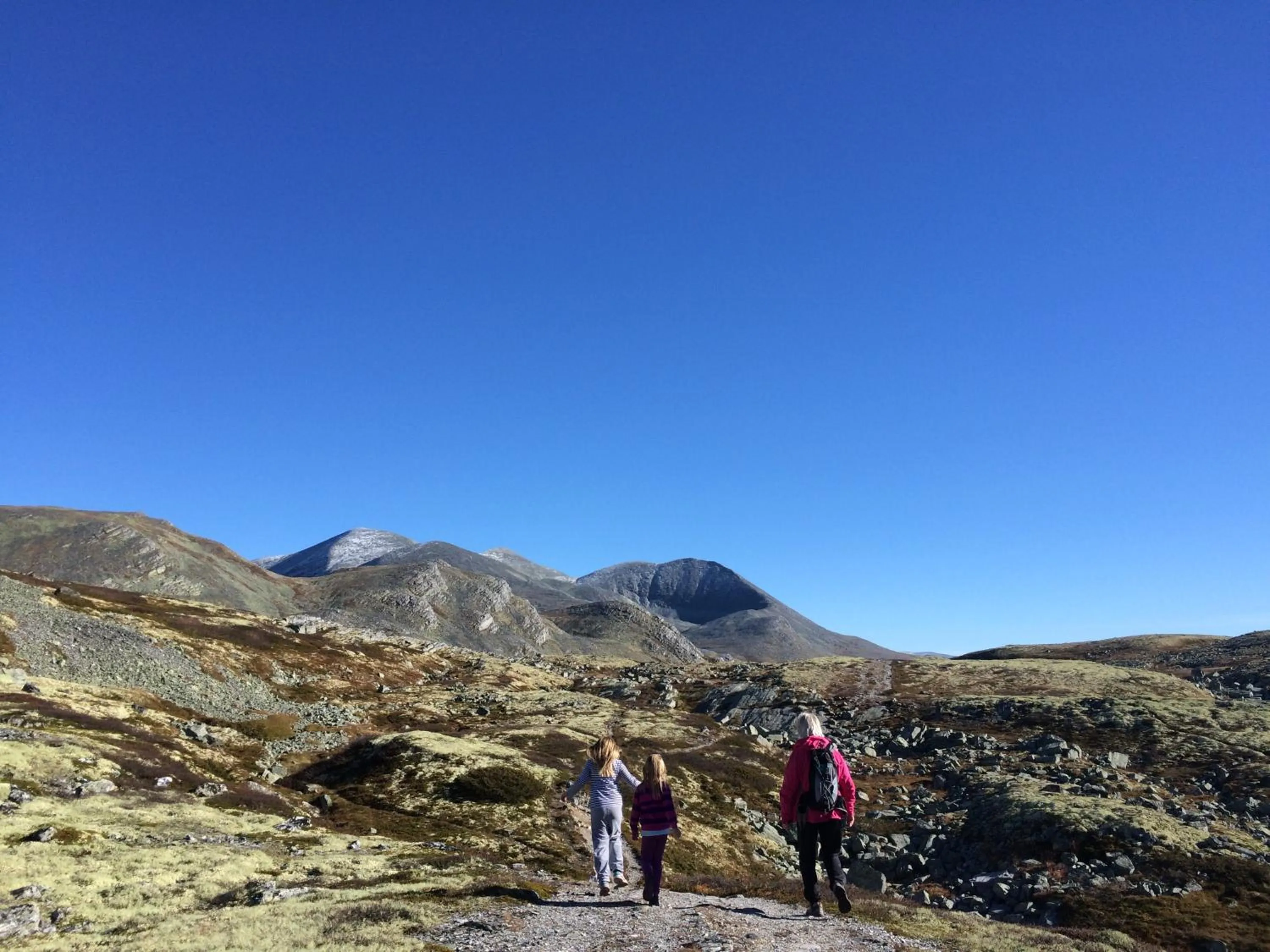 Activities in Smuksjøseter Fjellstue