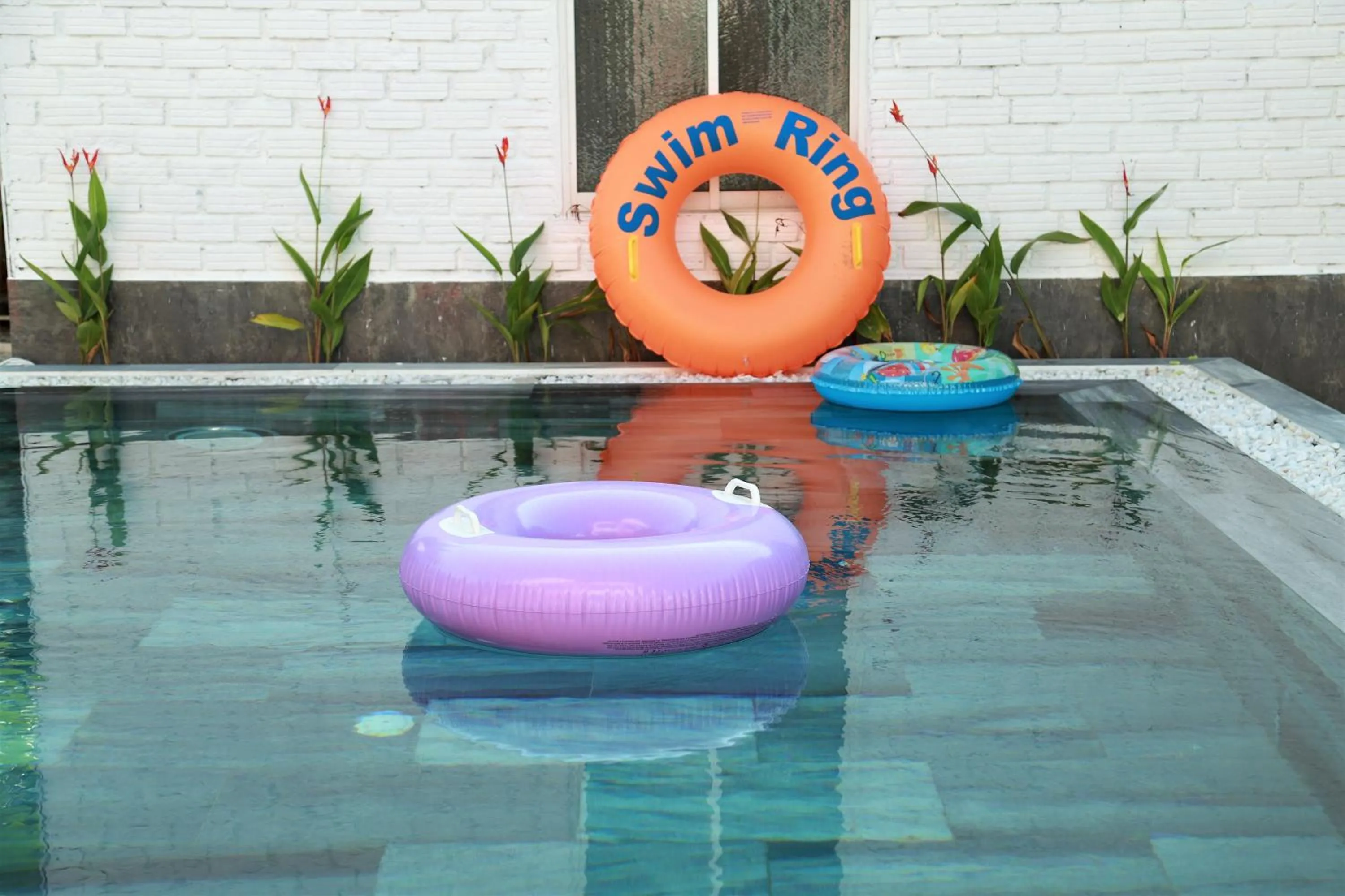 Swimming pool in Red House Homestay - Villa