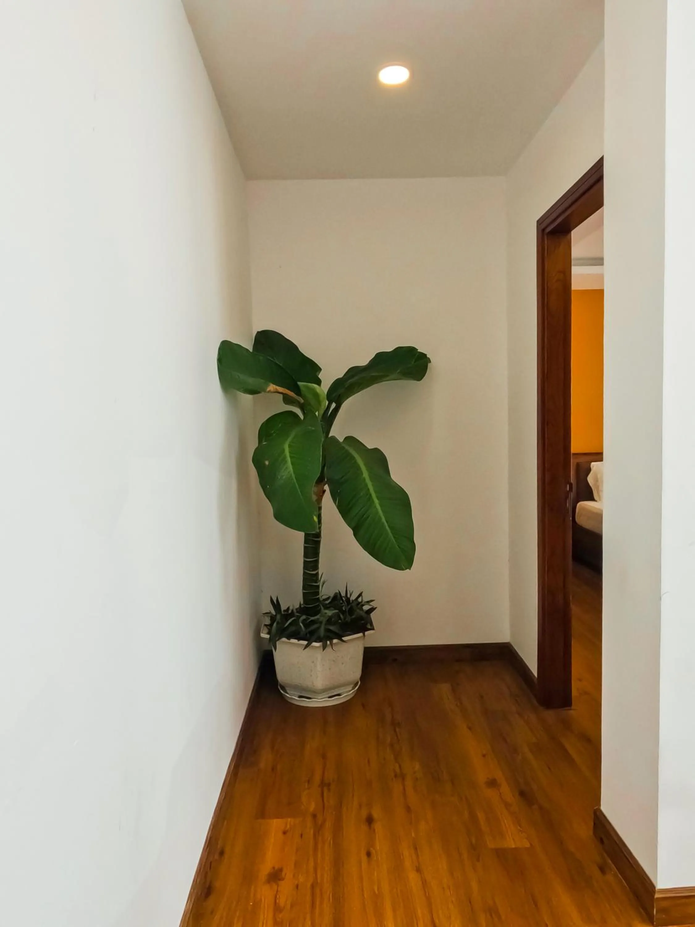 hair dresser in Benzen Villas Nha Trang