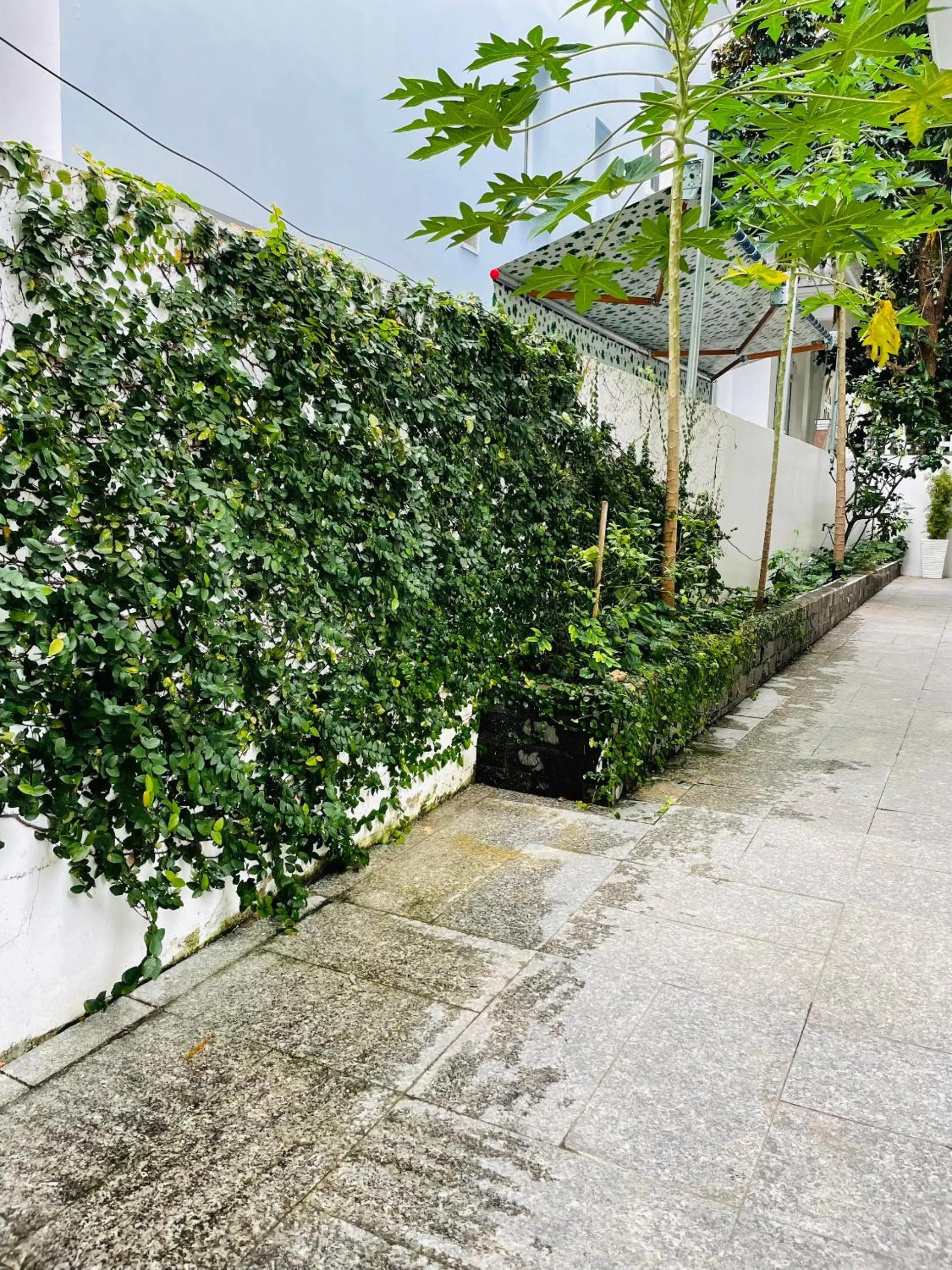 Garden in Benzen Villas Nha Trang