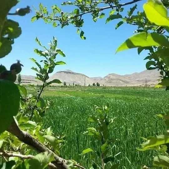 Auberge restaurant Afoud