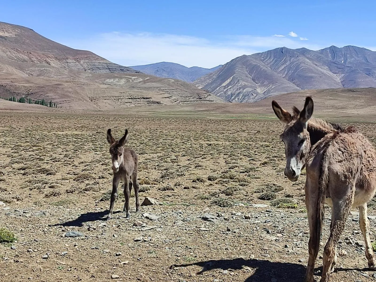 Hiking in Auberge restaurant Afoud
