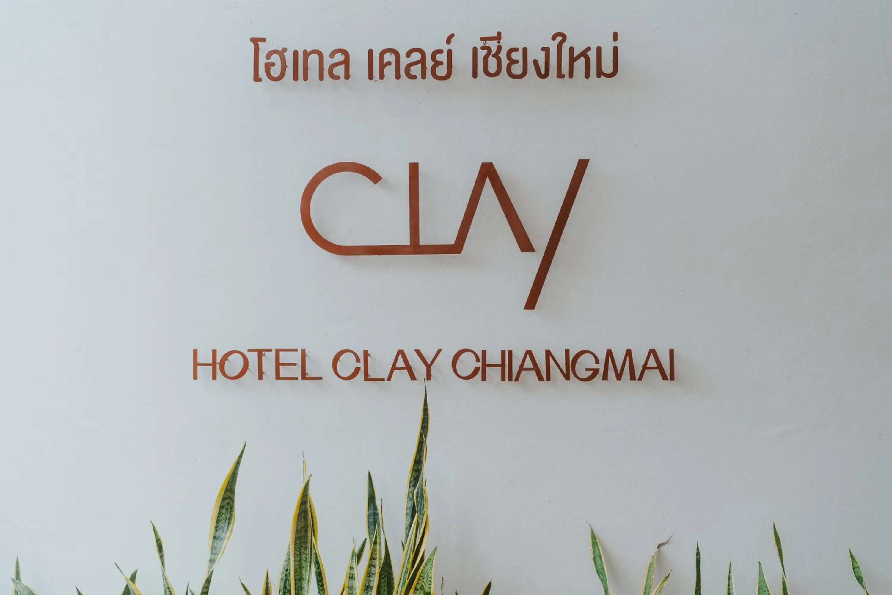 Lobby or reception in Hotel Clay Chiang Mai