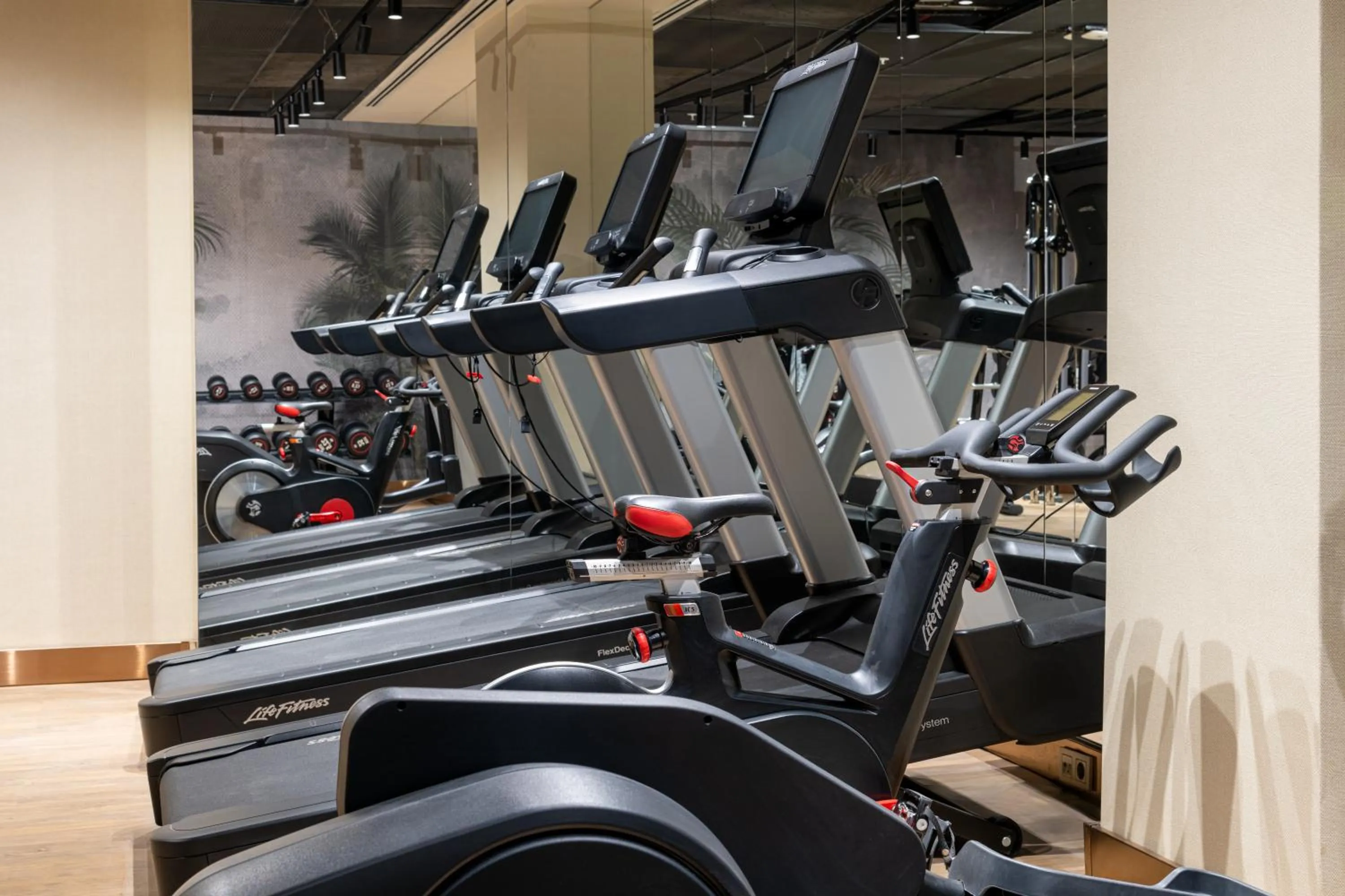 Fitness centre/facilities in Orient Occident Hotel Istanbul, Autograph Collection