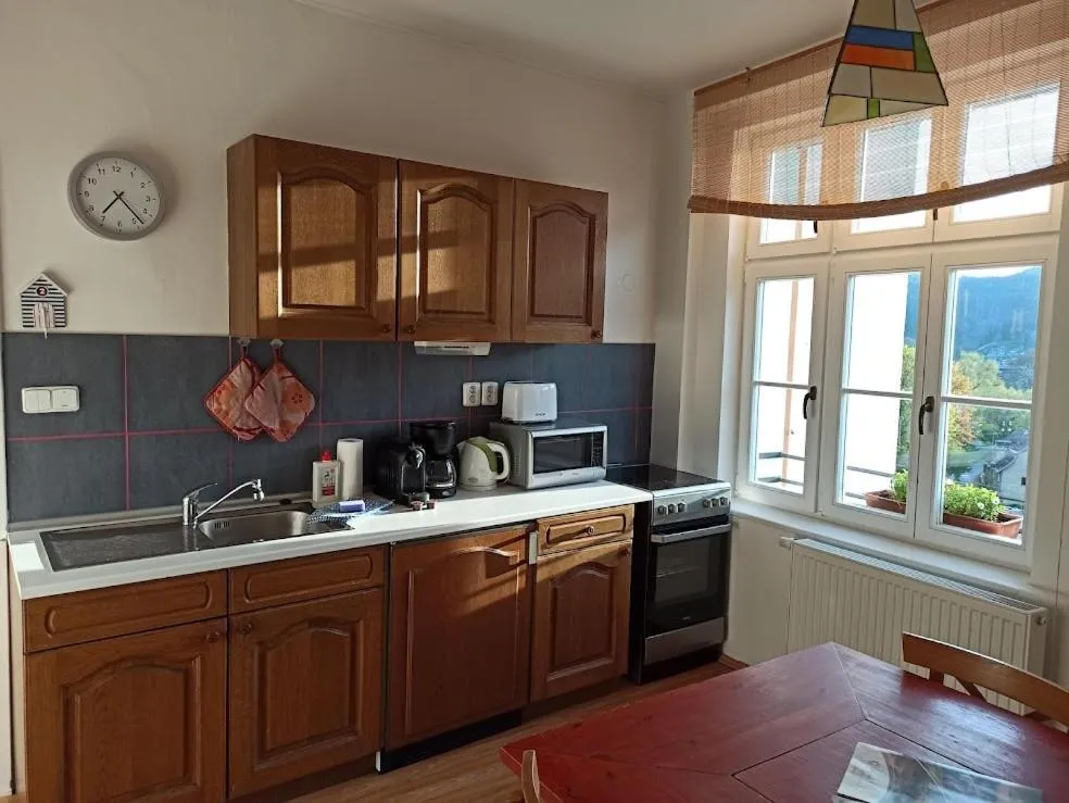 Kitchen or kitchenette in Apartmán u Mlsného medvěda