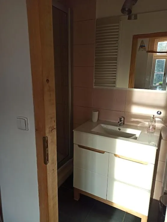 Bathroom in Apartmán u Mlsného medvěda