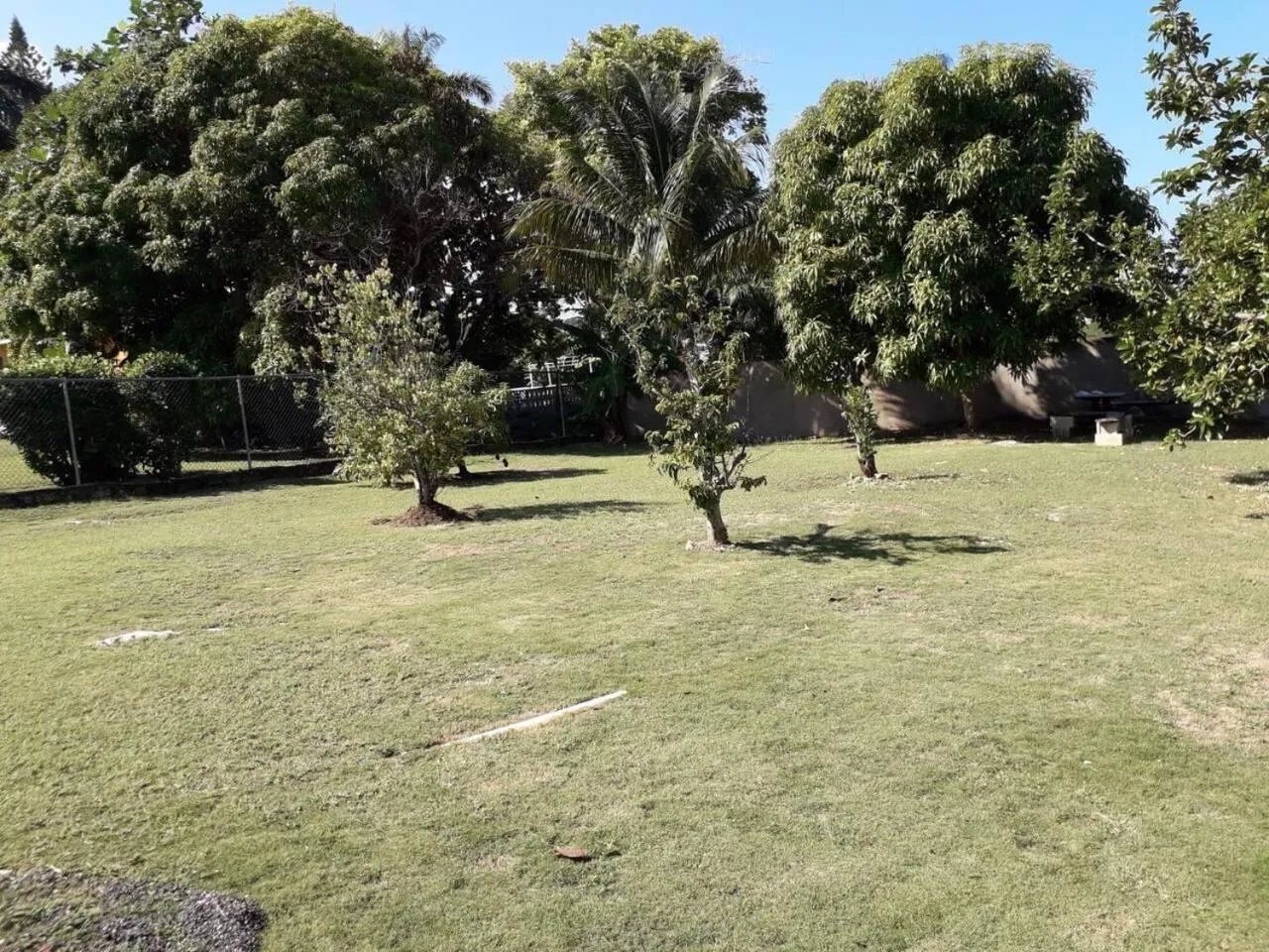 Day in Lovely 1-Bed in Montego Bay-Rose View Apartment