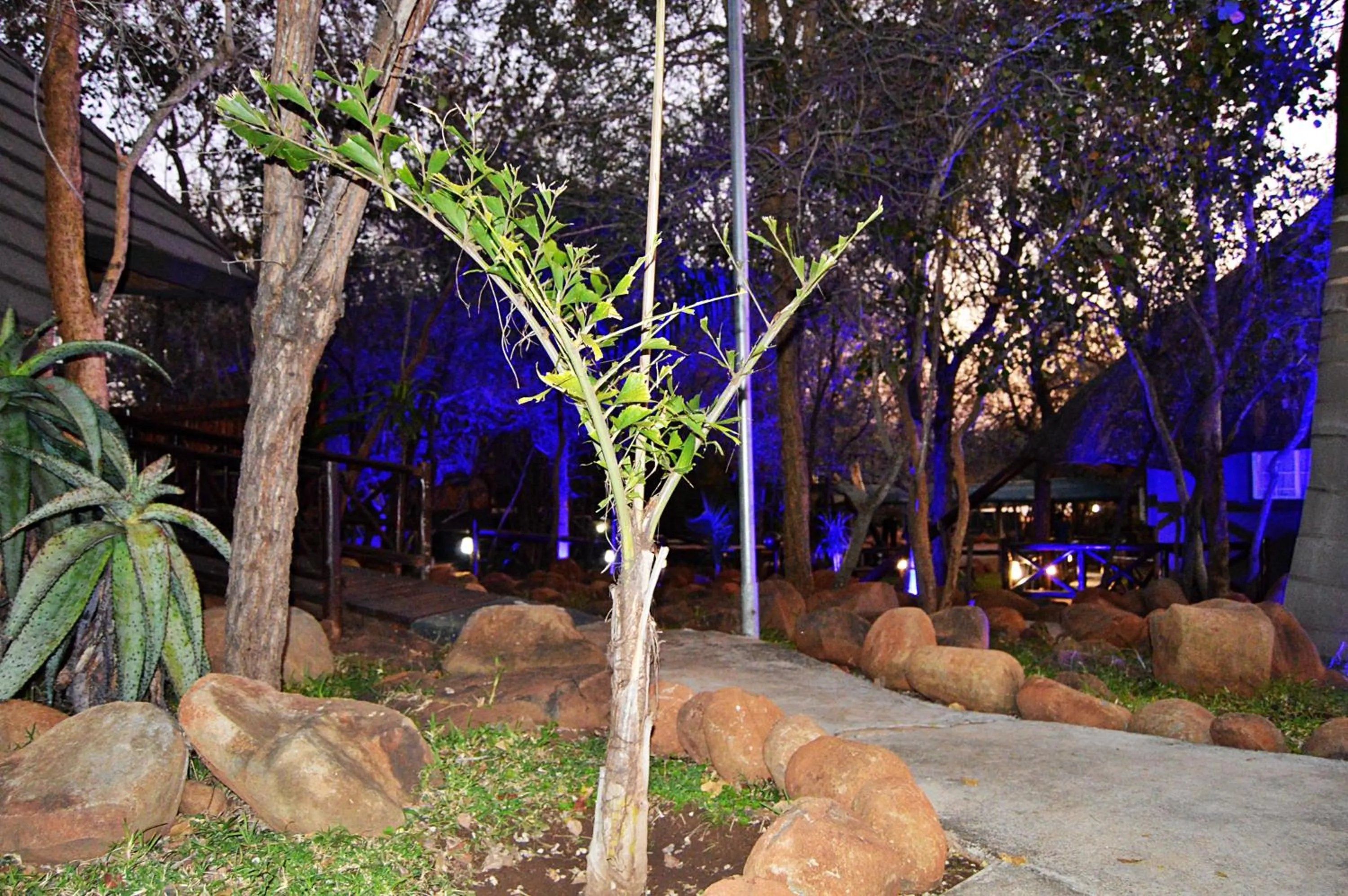 Royal Marlothi Kruger Safari Lodge and Spa