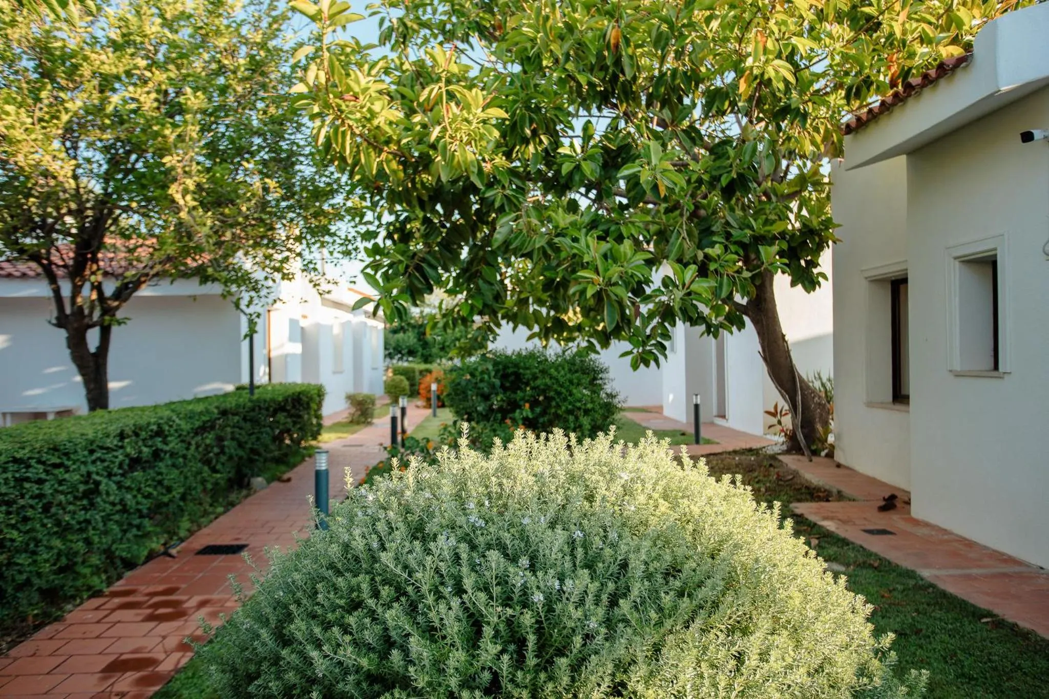 Property building in Resort Fior di Sardegna