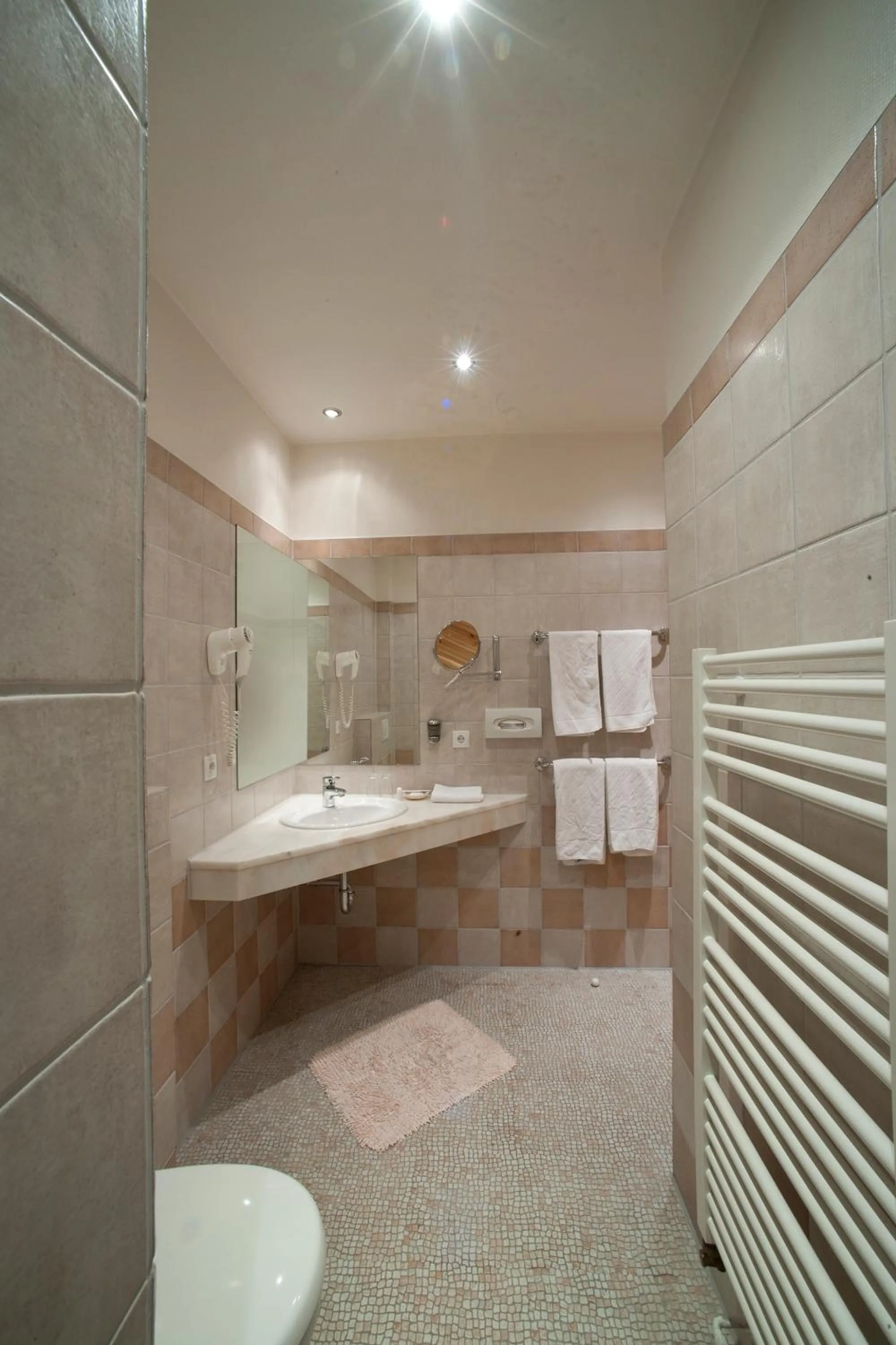 Bathroom in Waldhotel zum Bergsee Damme