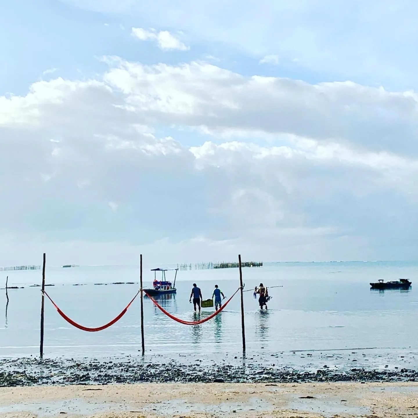 Natural landscape in Pousada Marceneiro