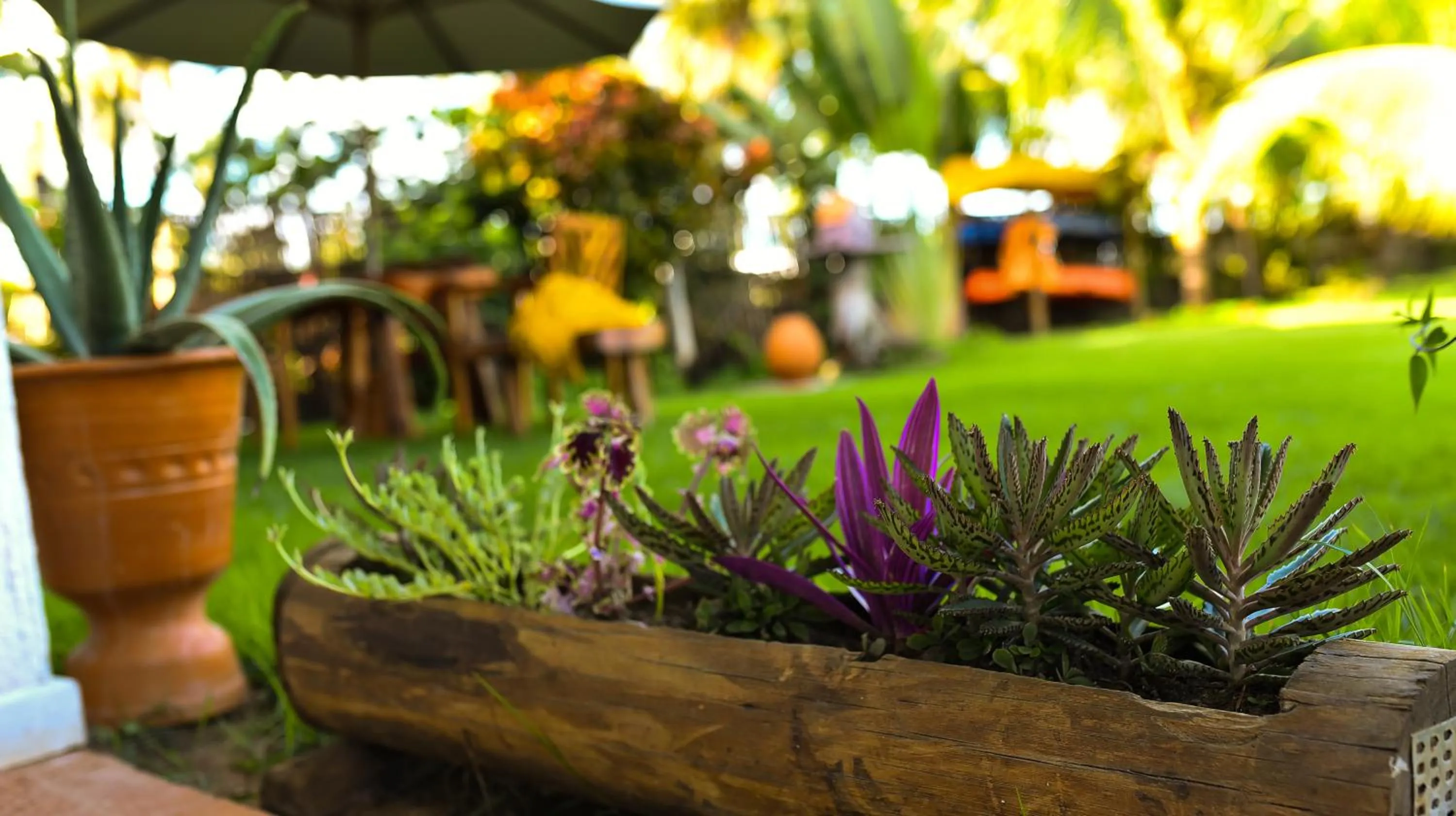 Garden in Pousada Marceneiro