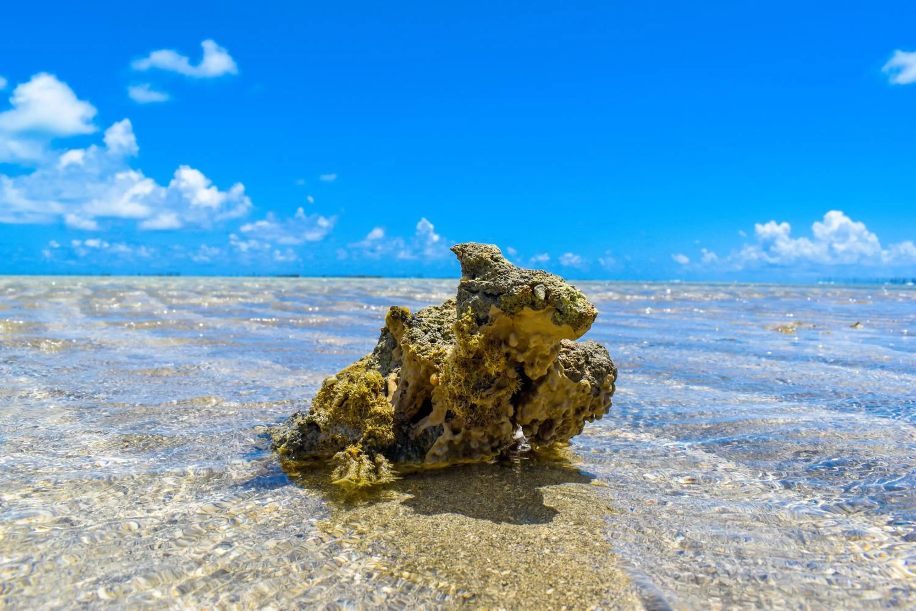 Nearby landmark in Pousada Marceneiro